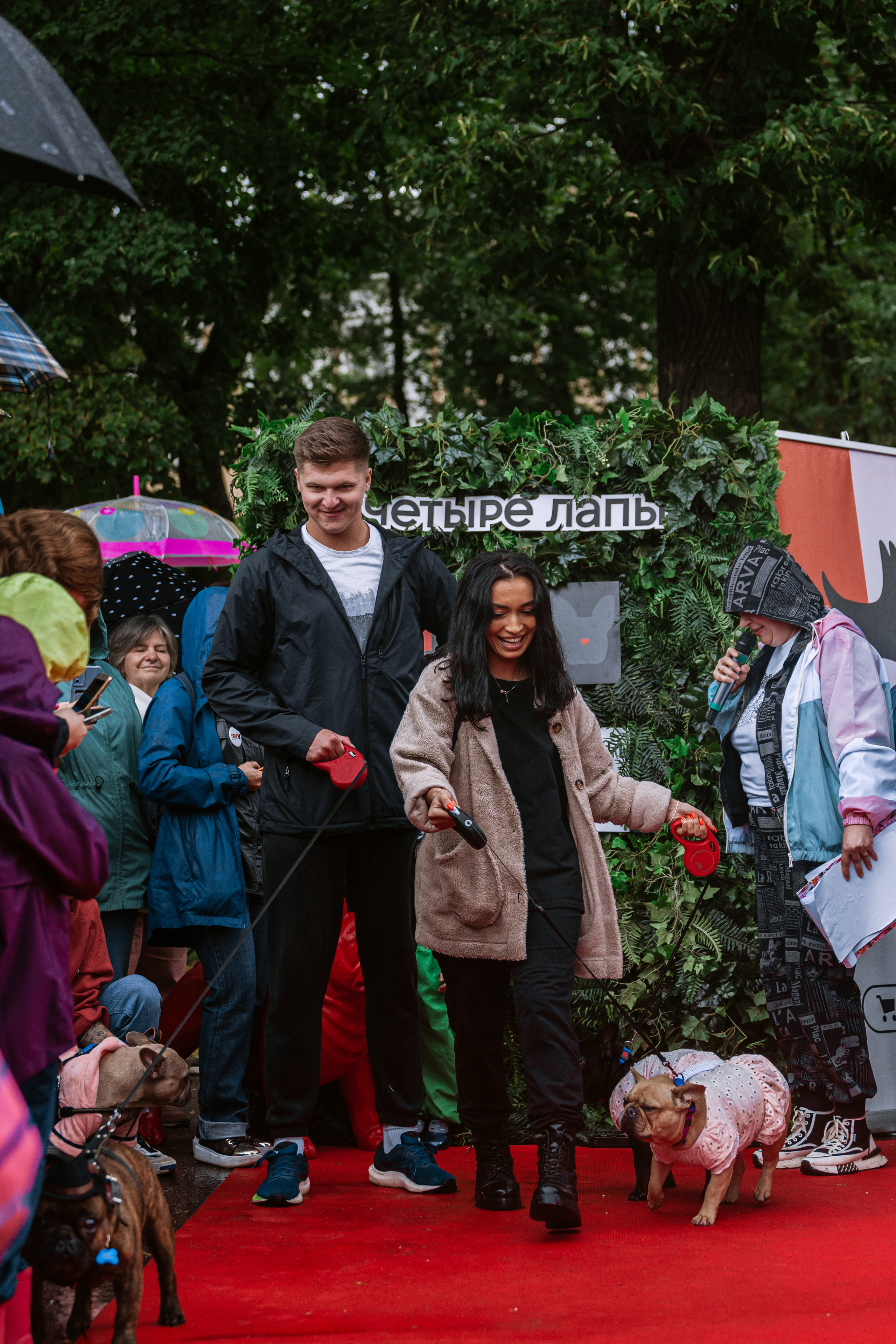 Парад французских бульдогов 15.07.2023. Фотограф-анималист Татьяна Степанова