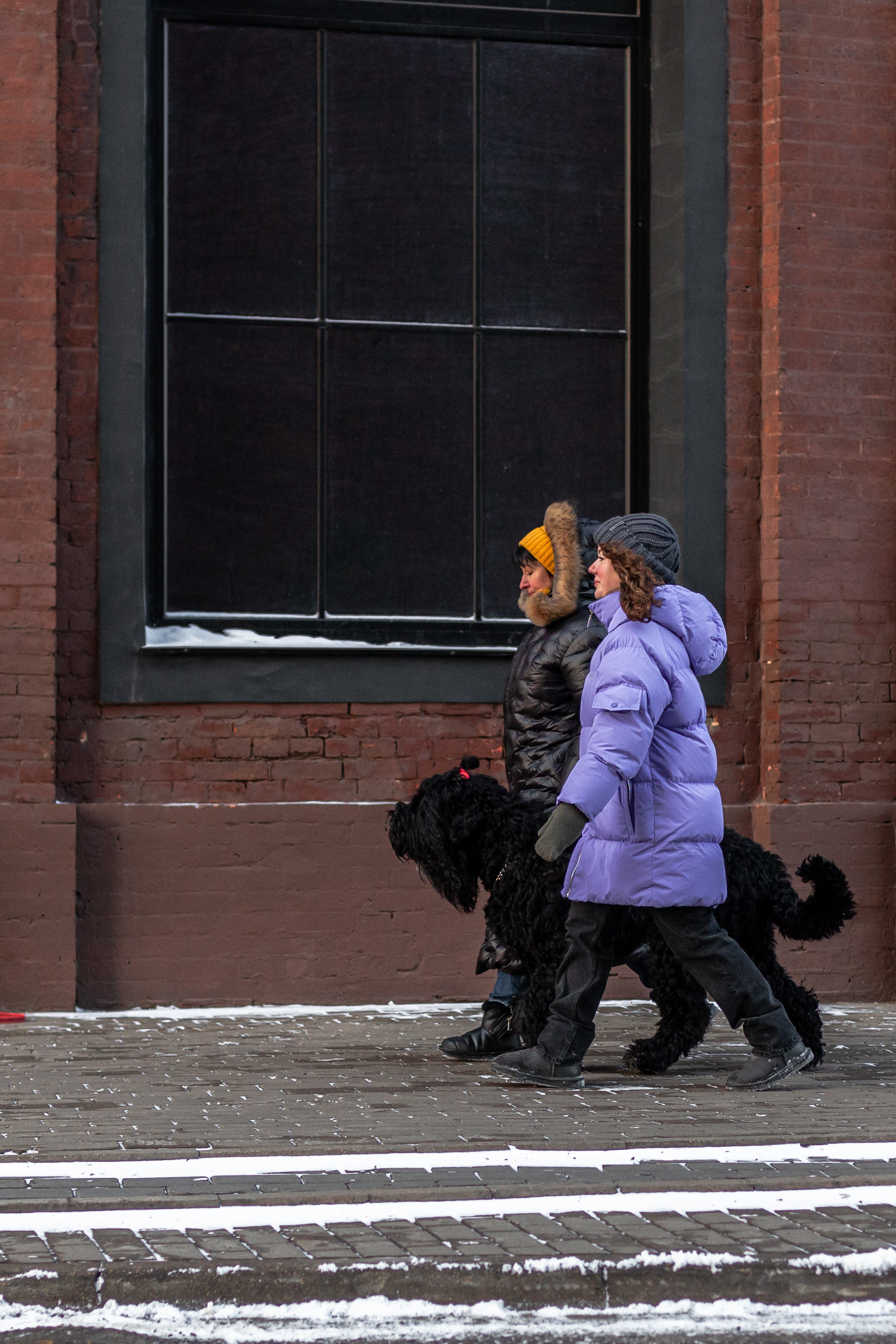 Фотопрогулка завод Арма. Фотограф-анималист Татьяна Степанова