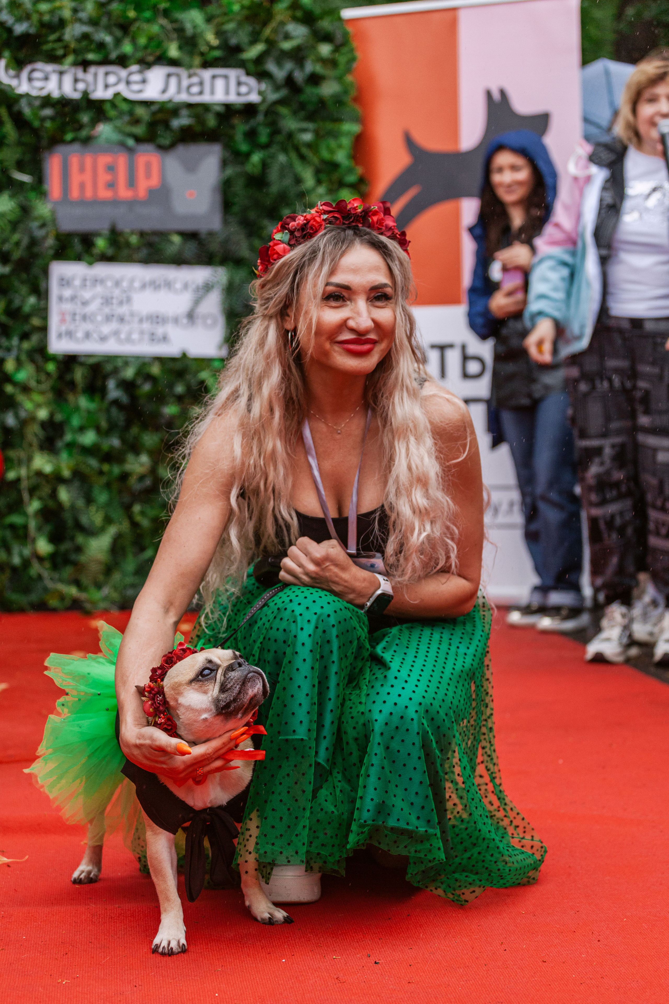 Парад французских бульдогов 15.07.2023. Фотограф-анималист Татьяна Степанова