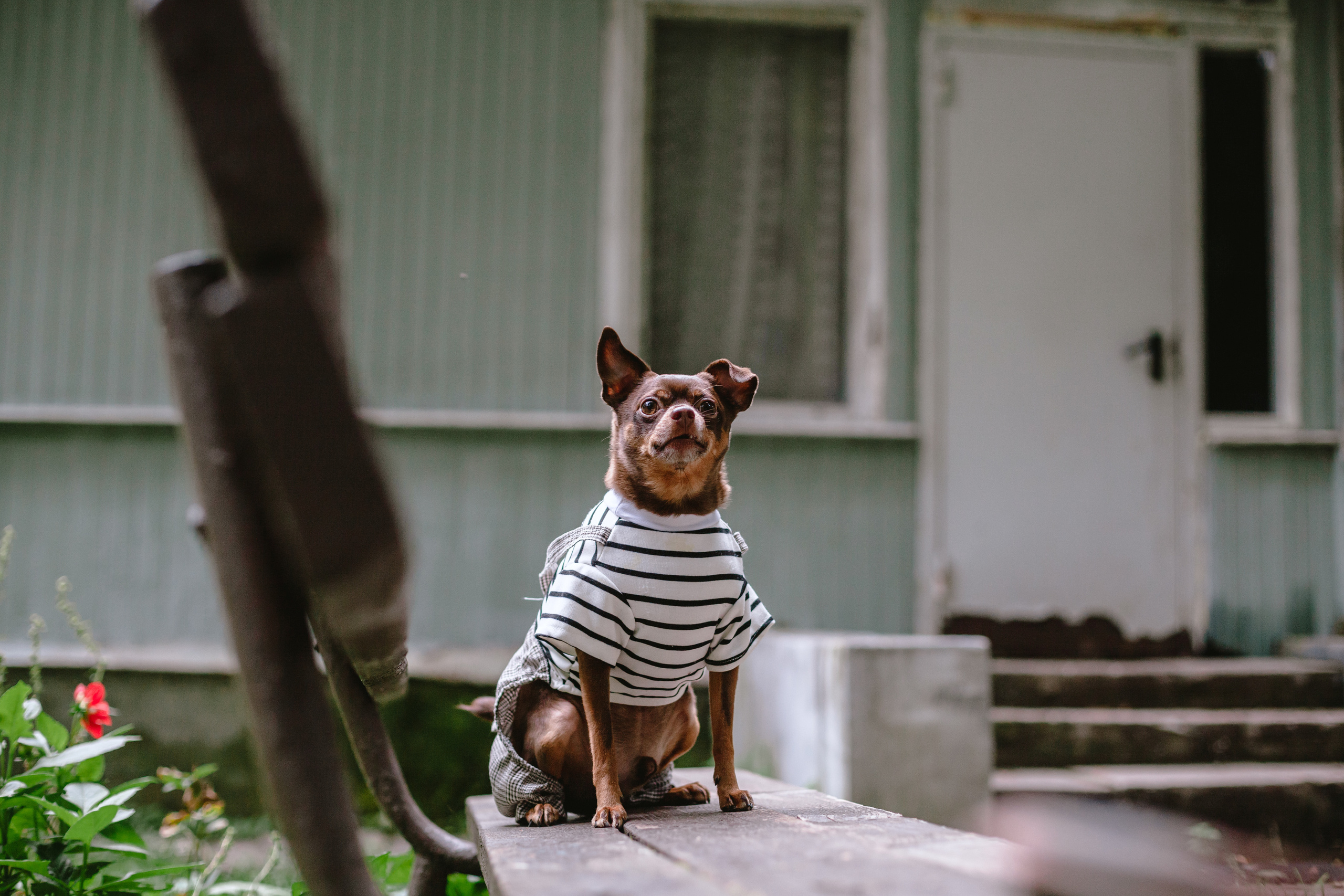 Юля и Леонид. Фотограф-анималист Татьяна Степанова