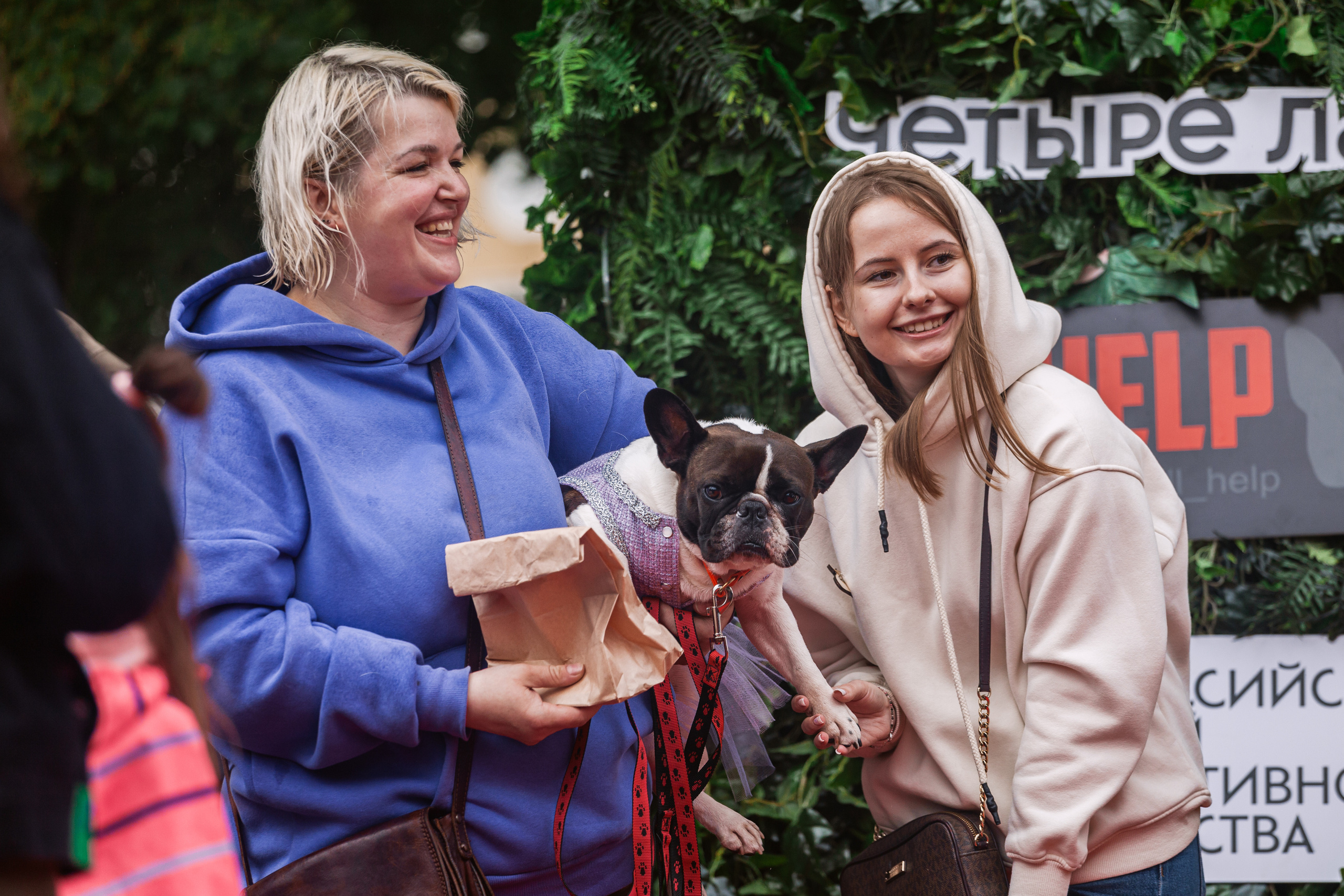 Парад французских бульдогов 15.07.2023. Фотограф-анималист Татьяна Степанова