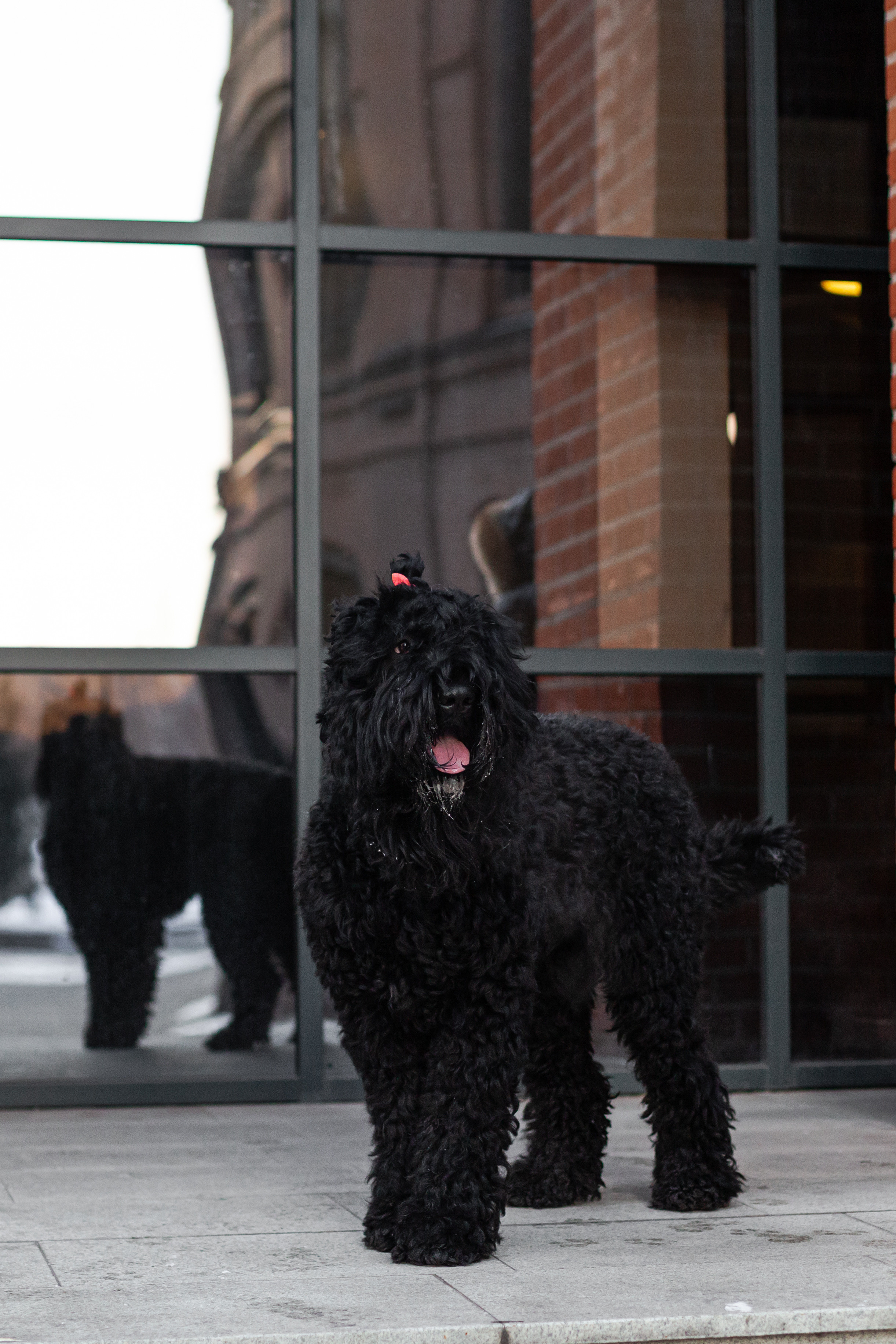 Фотопрогулка завод Арма. Фотограф-анималист Татьяна Степанова