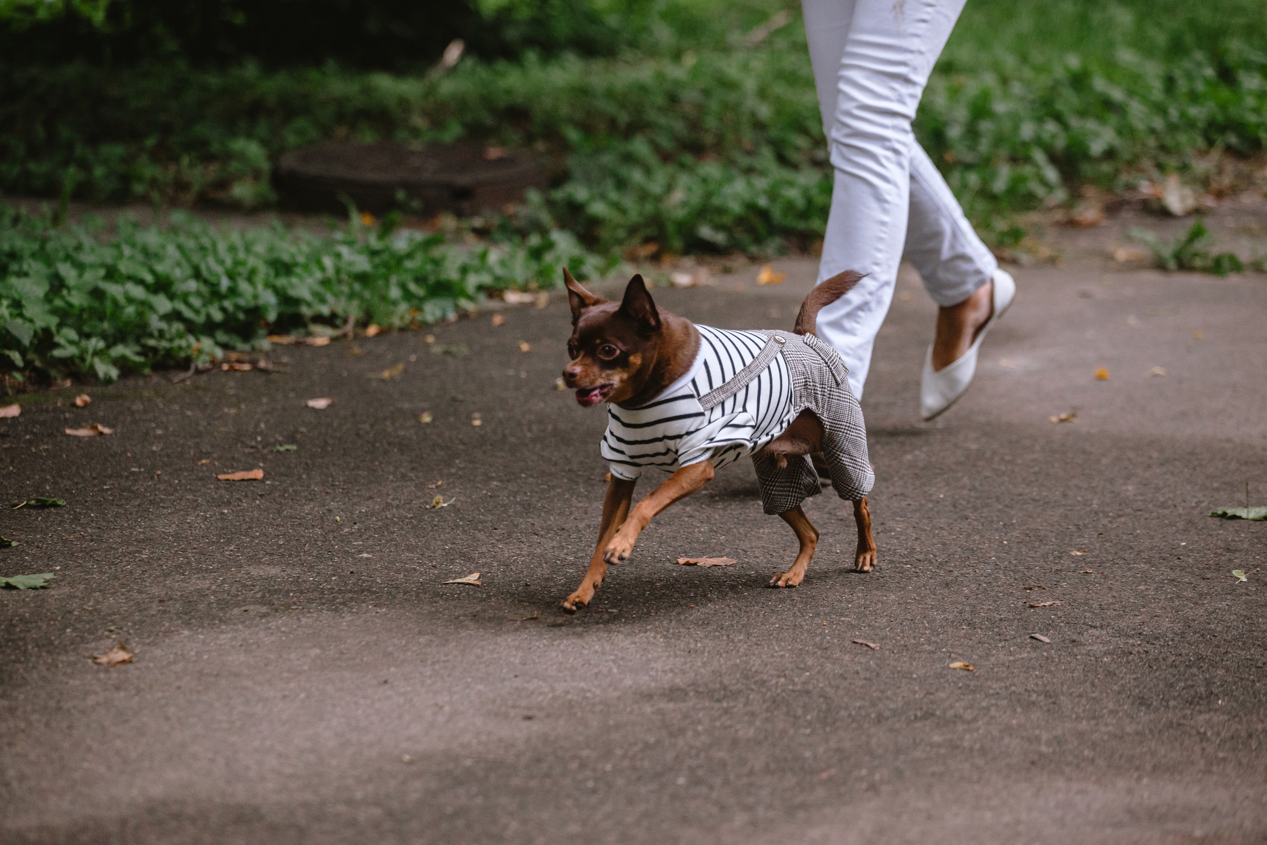 Юля и Леонид. Фотограф-анималист Татьяна Степанова
