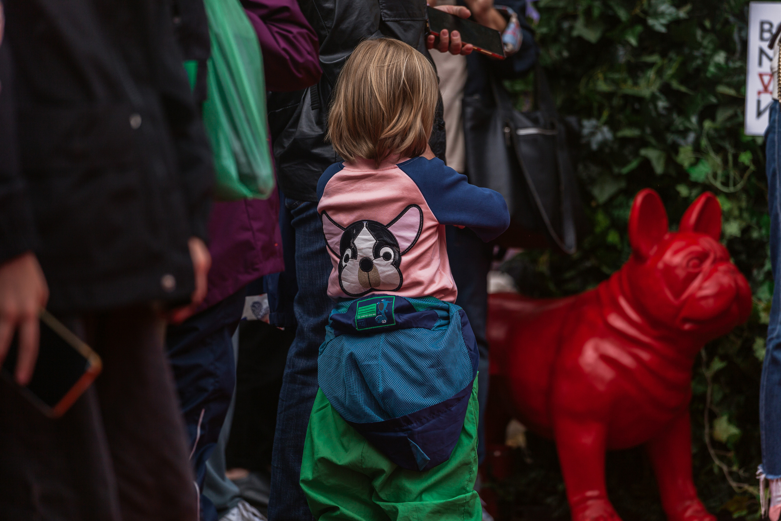 Парад французских бульдогов 15.07.2023. Фотограф-анималист Татьяна Степанова
