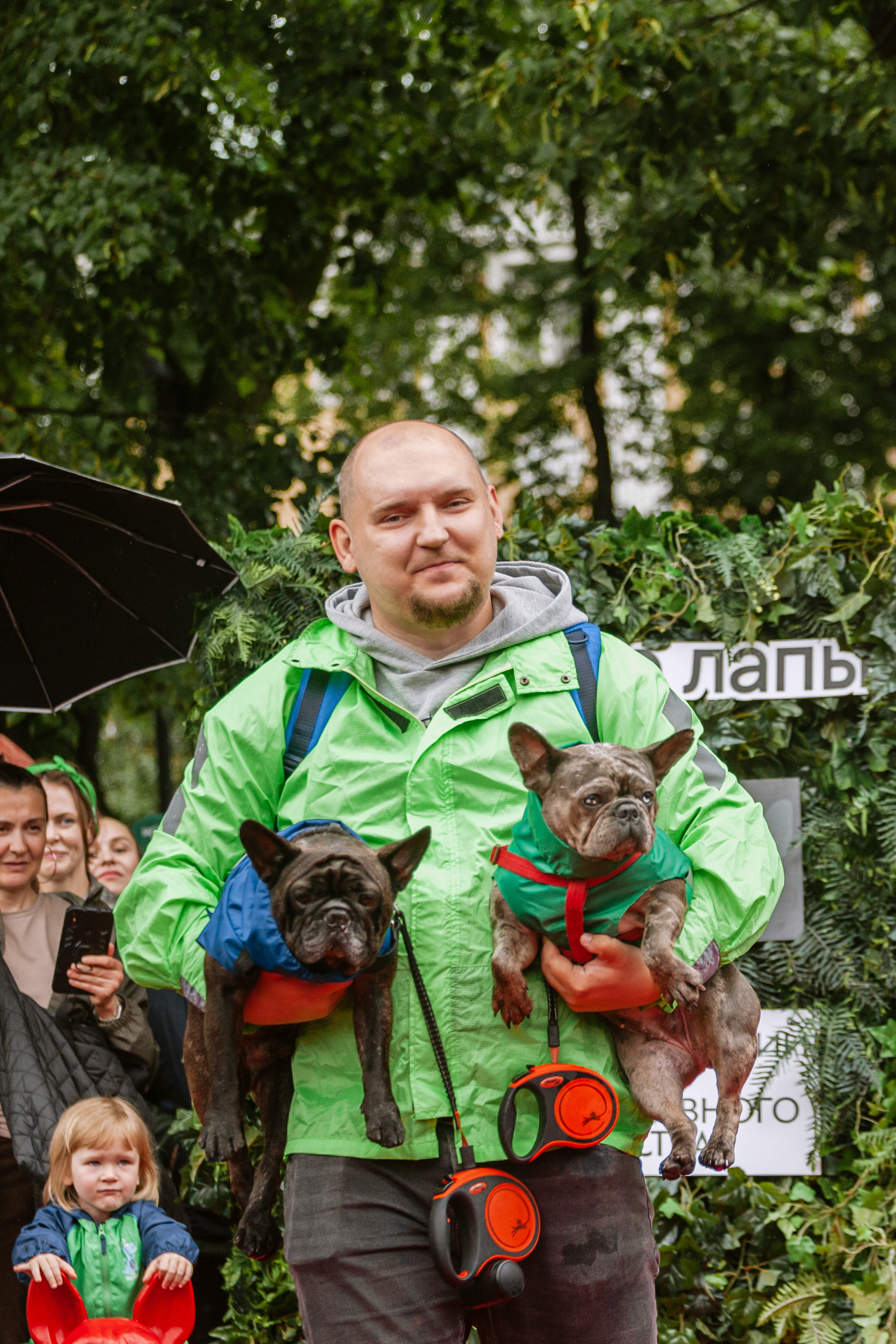 Парад французских бульдогов 15.07.2023. Фотограф-анималист Татьяна Степанова