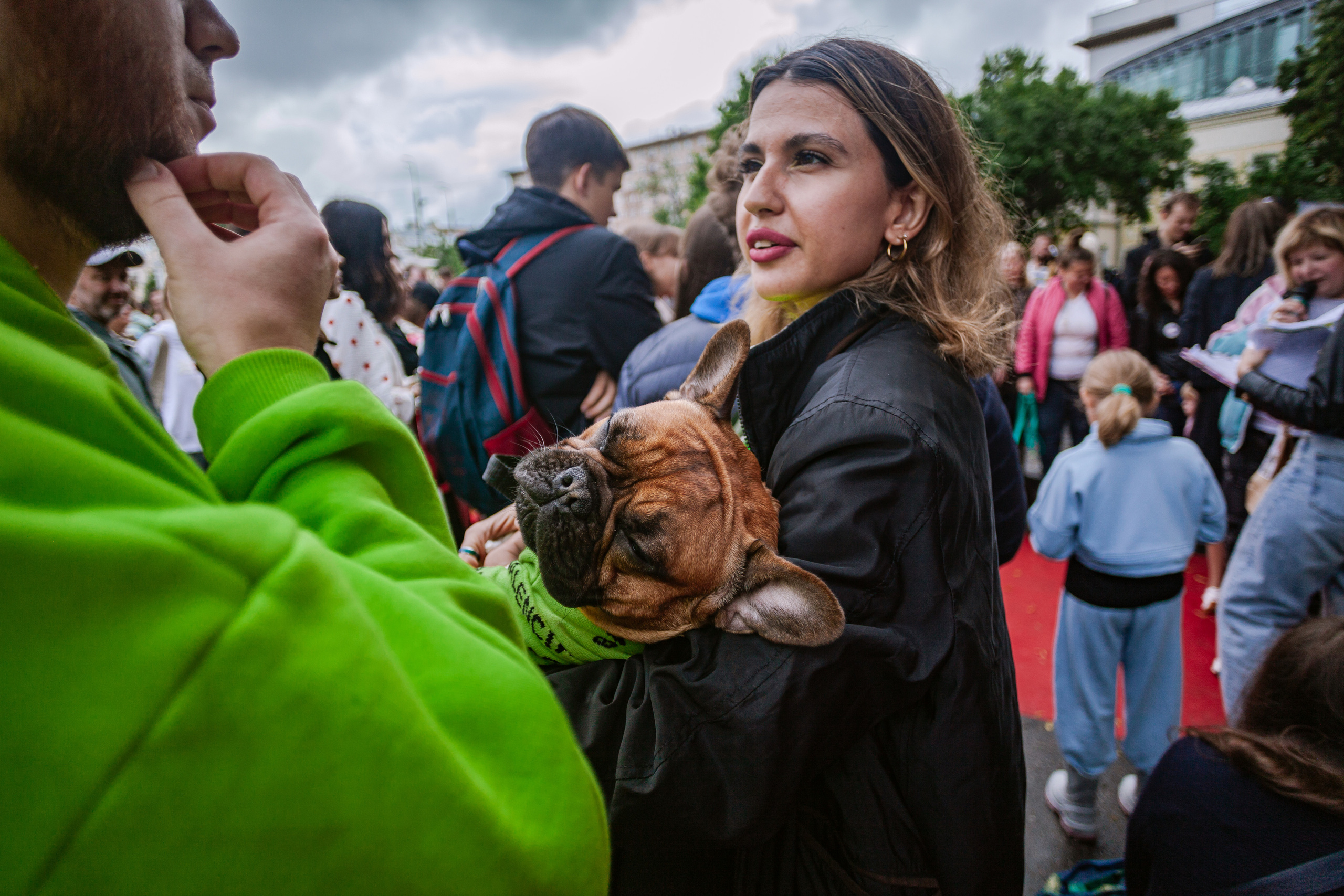 Парад французских бульдогов 15.07.2023. Фотограф-анималист Татьяна Степанова
