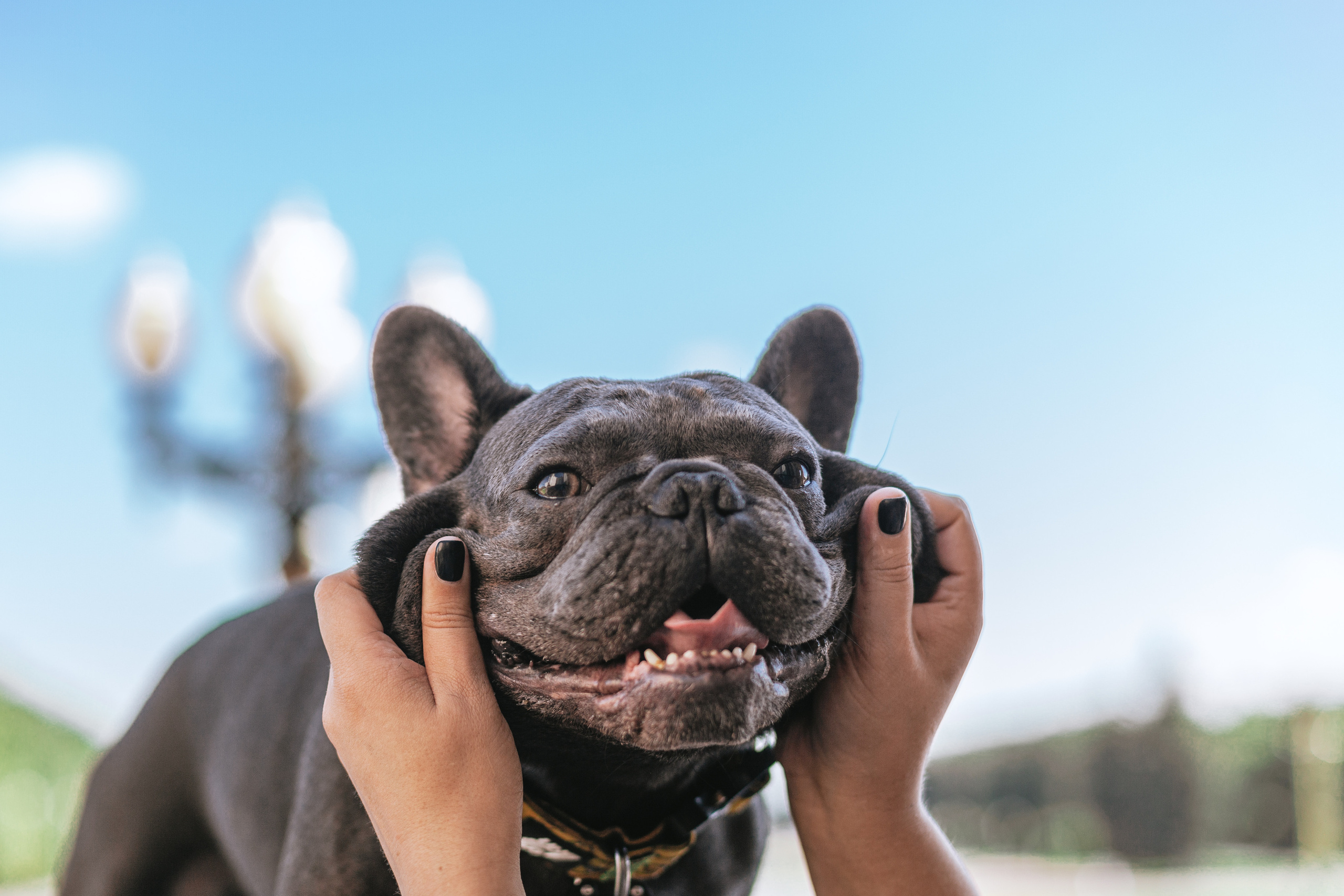 Фотопрогулка у МГУ. Фотограф-анималист Татьяна Степанова