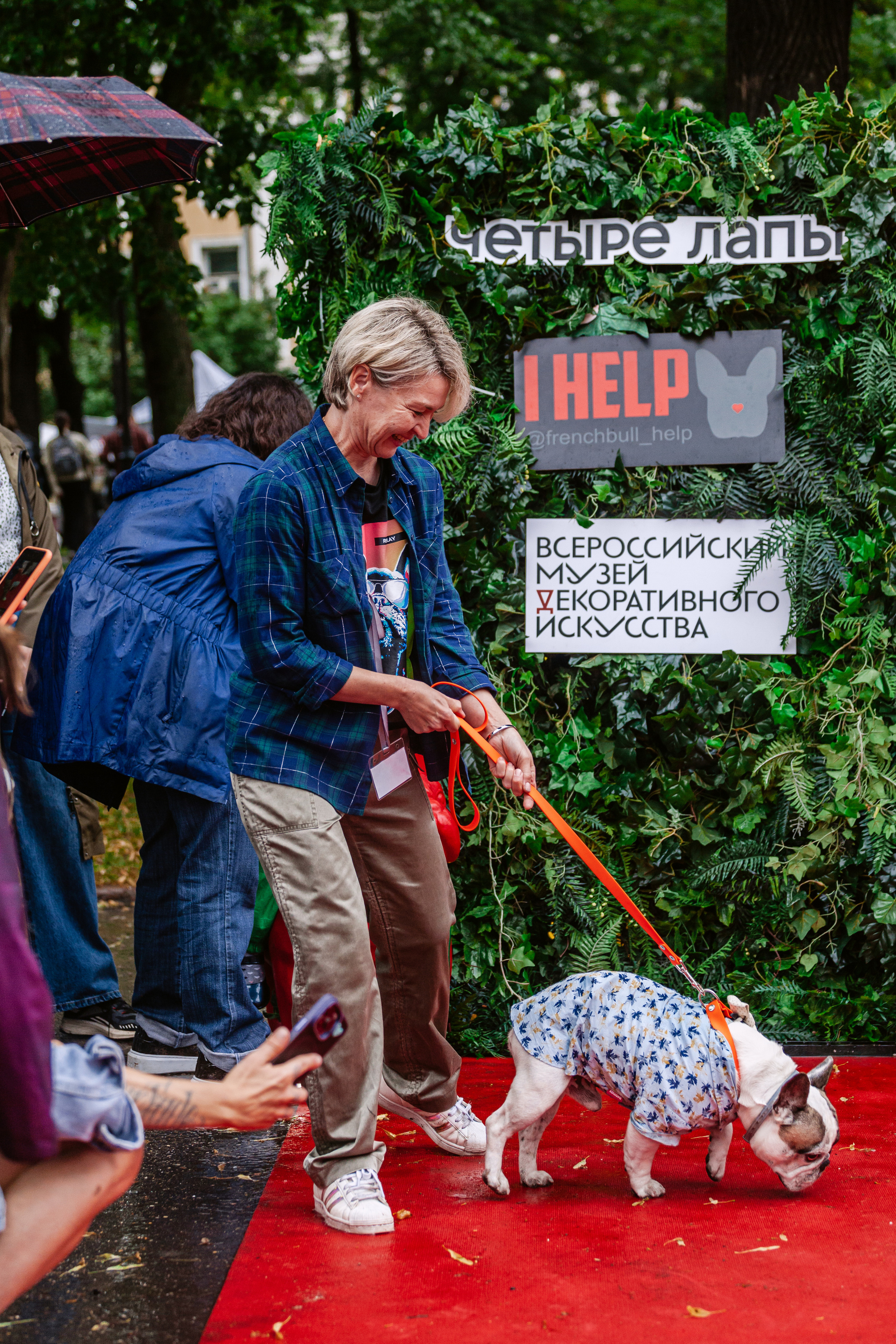 Парад французских бульдогов 15.07.2023. Фотограф-анималист Татьяна Степанова