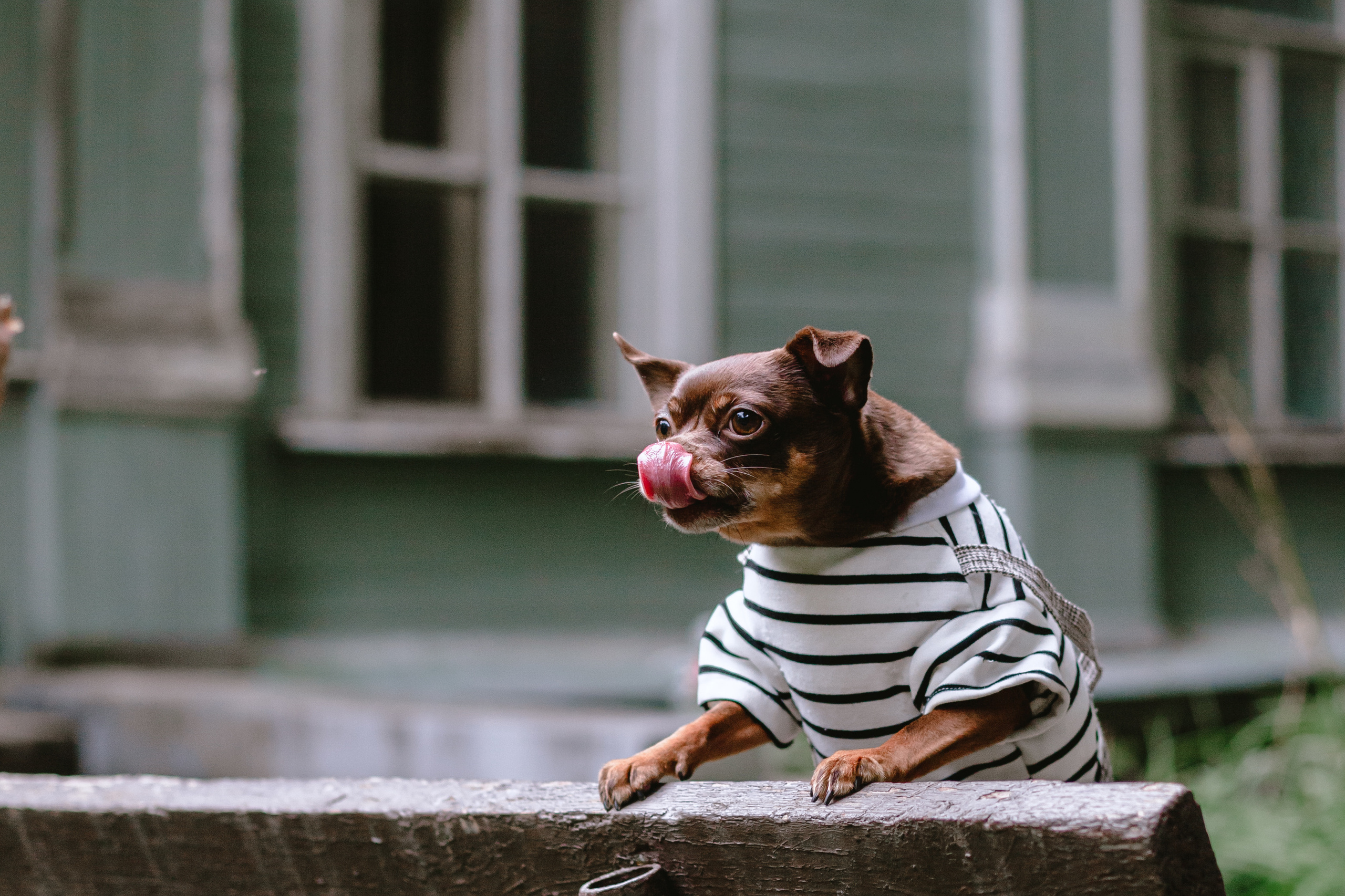 Юля и Леонид. Фотограф-анималист Татьяна Степанова