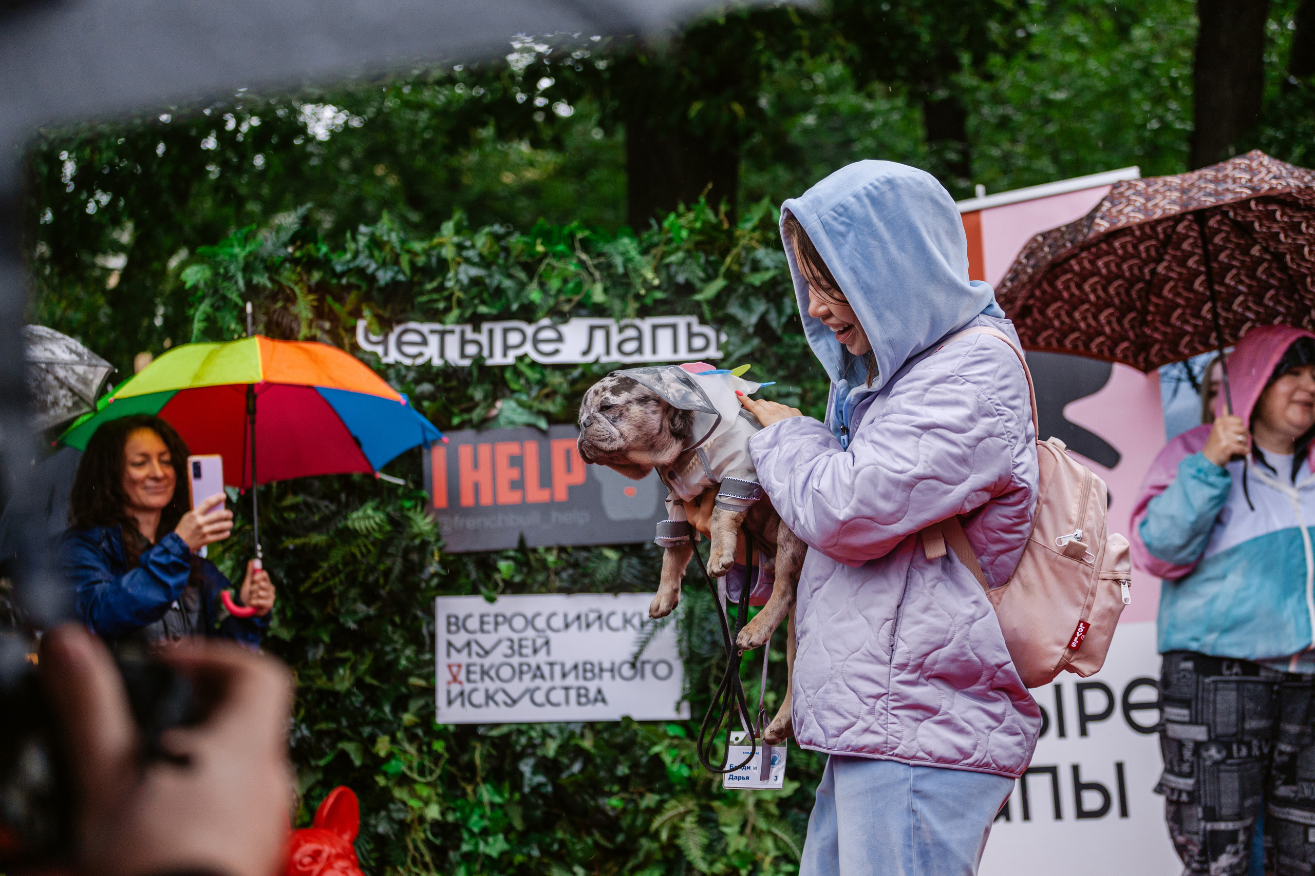 Парад французских бульдогов 15.07.2023. Фотограф-анималист Татьяна Степанова