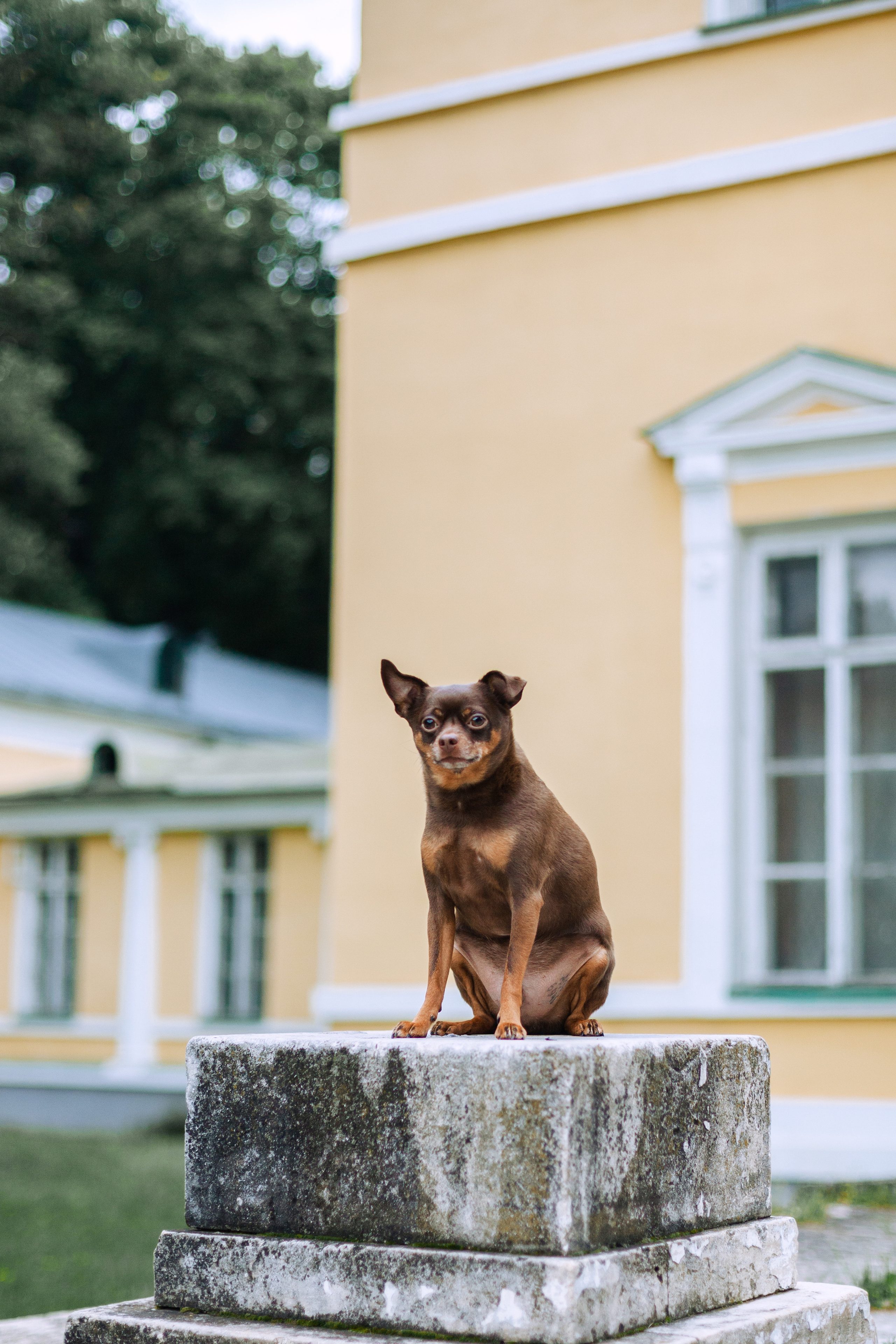 Юля и Леонид. Фотограф-анималист Татьяна Степанова
