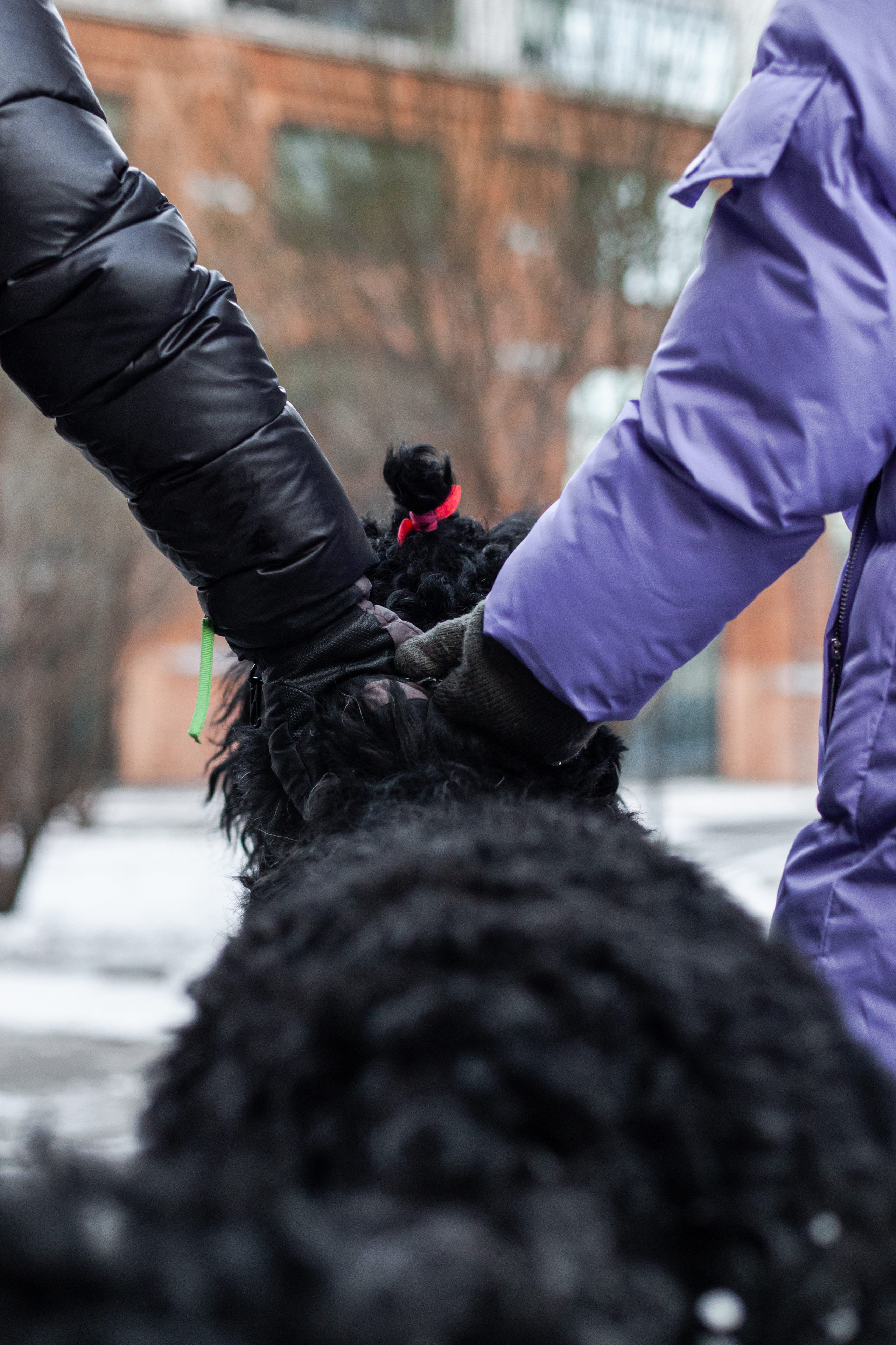 Фотопрогулка завод Арма. Фотограф-анималист Татьяна Степанова