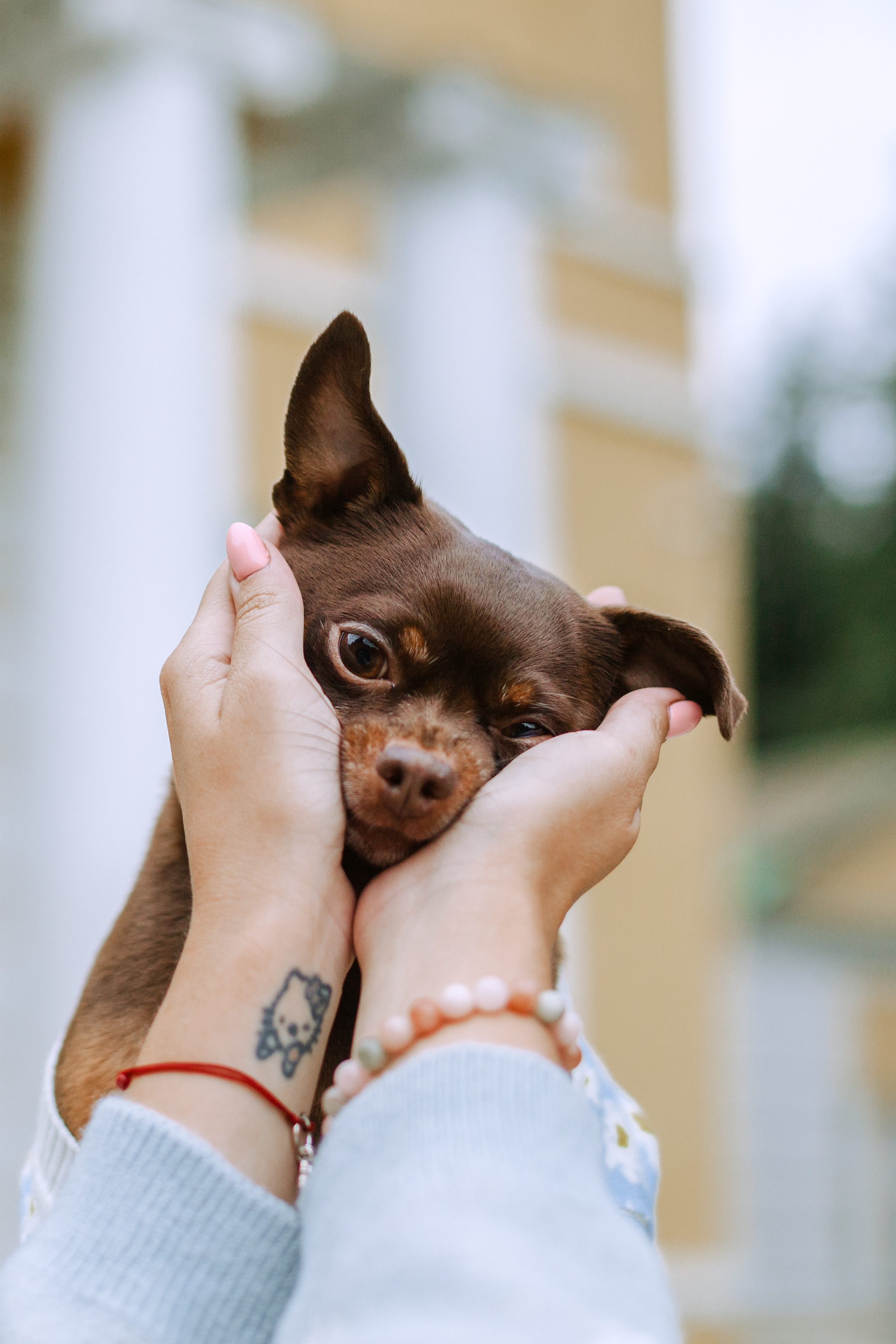 Юля и Леонид. Фотограф-анималист Татьяна Степанова