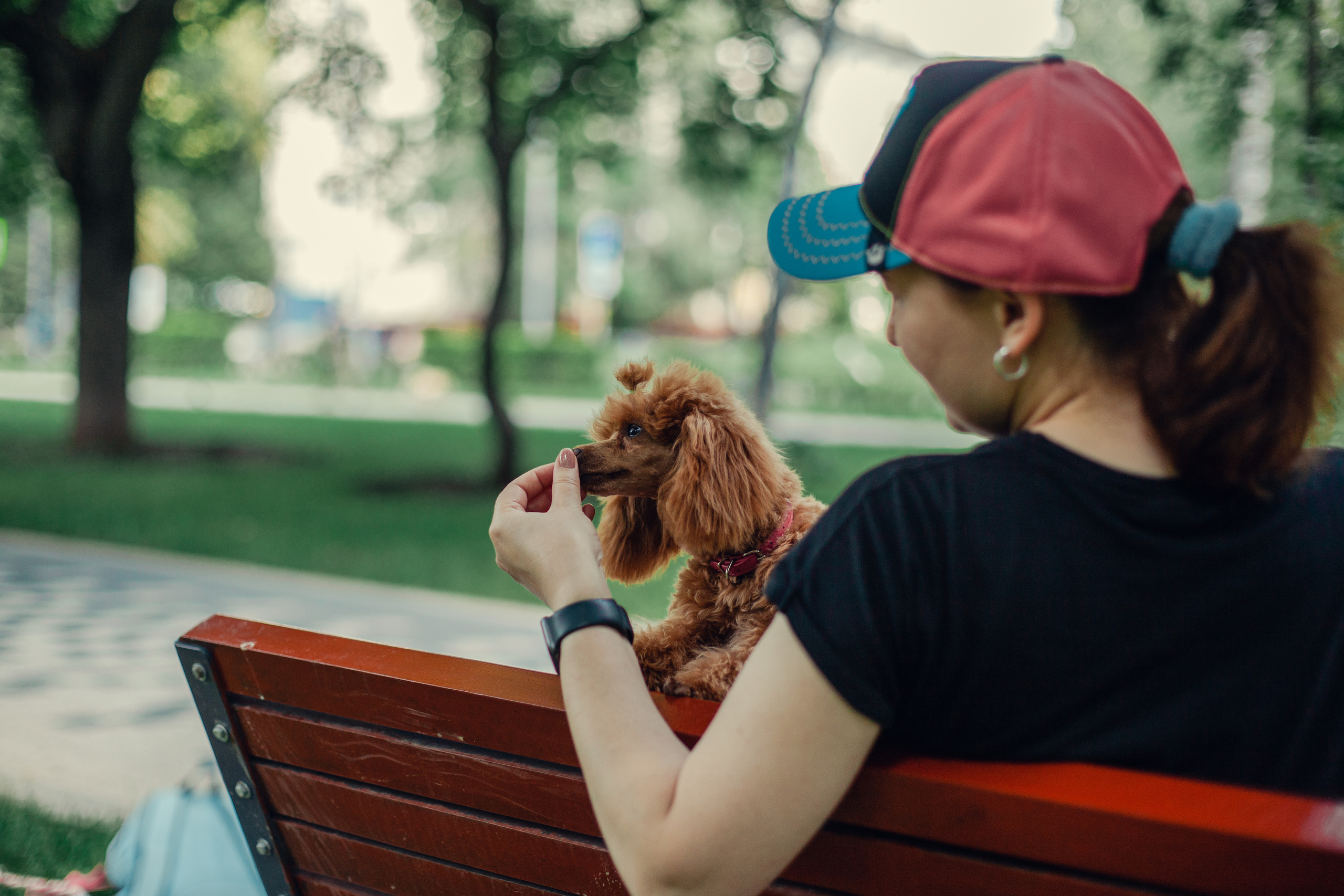 Оля и Ася. Фотограф-анималист Татьяна Степанова