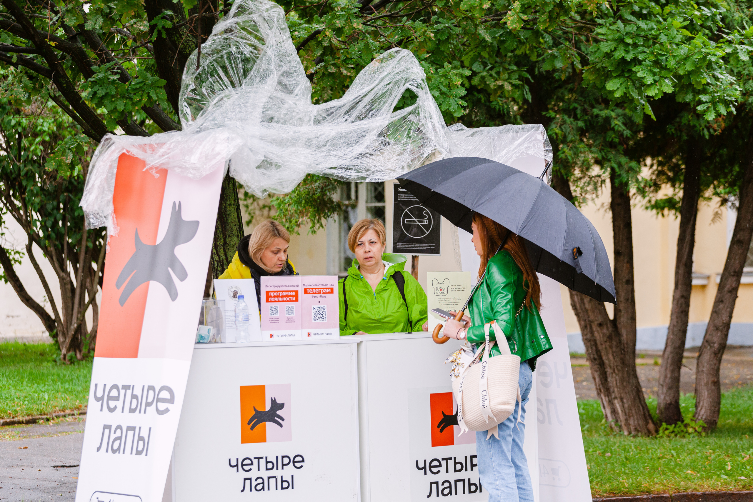 Парад французских бульдогов 15.07.2023. Фотограф-анималист Татьяна Степанова