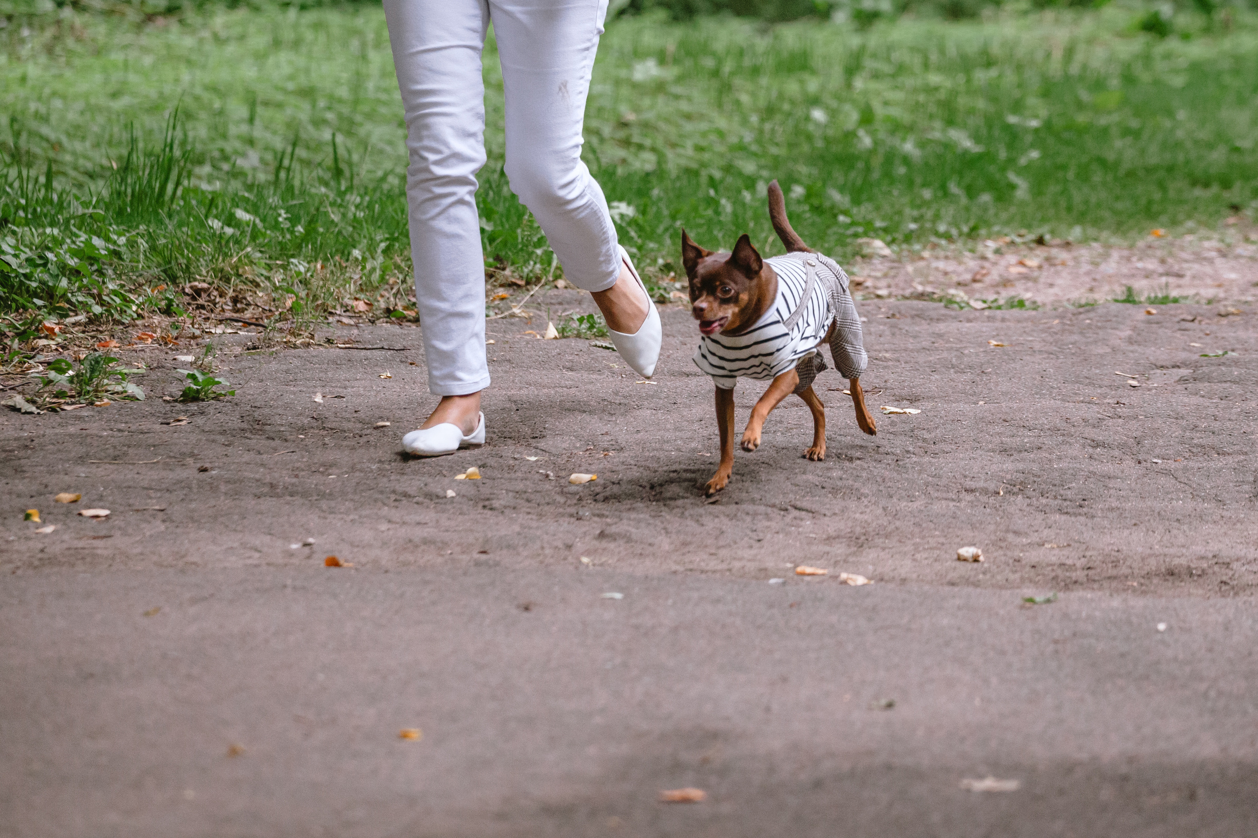 Юля и Леонид. Фотограф-анималист Татьяна Степанова
