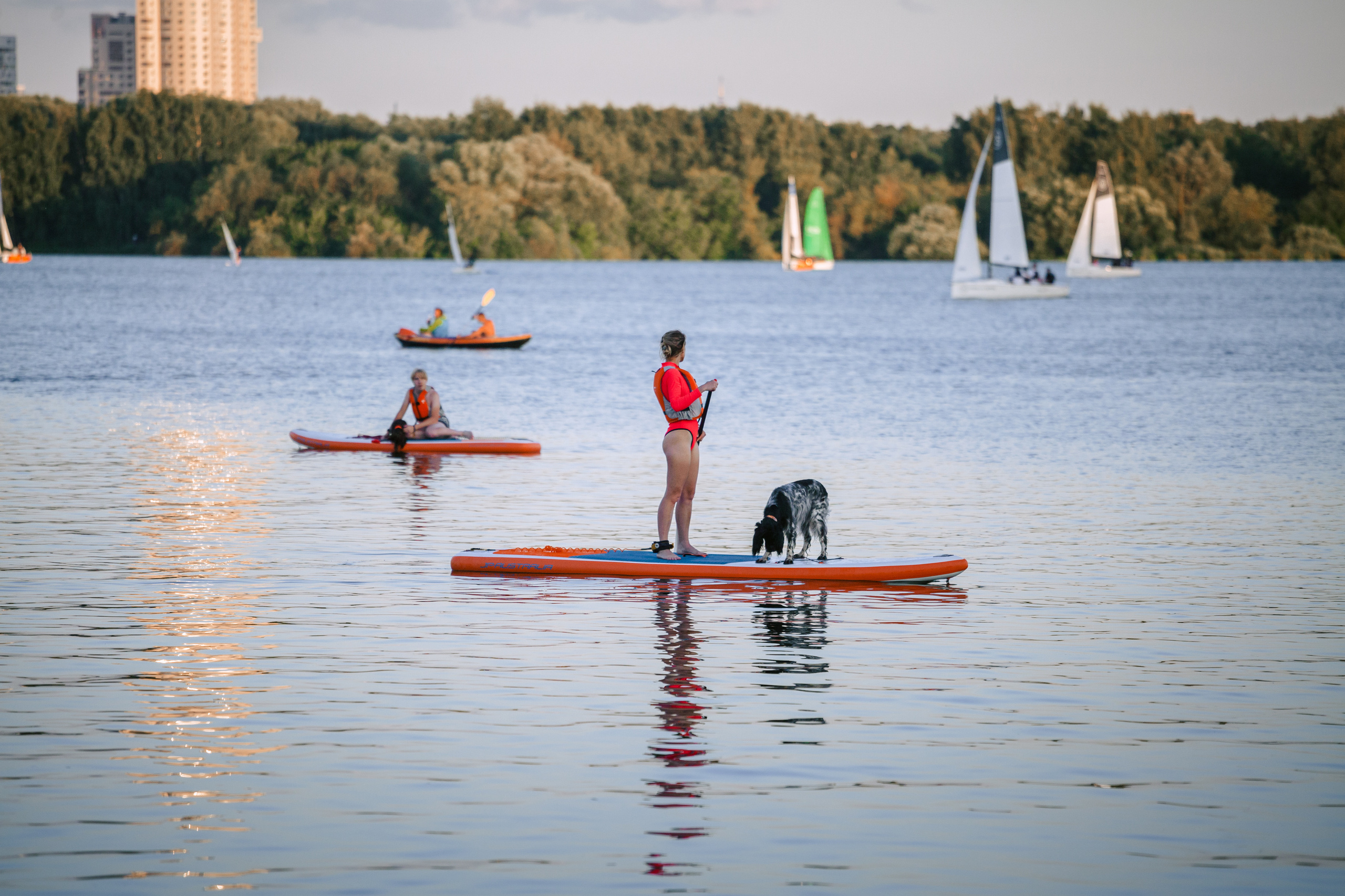 Света и Егор на сапах. Фотограф-анималист Татьяна Степанова