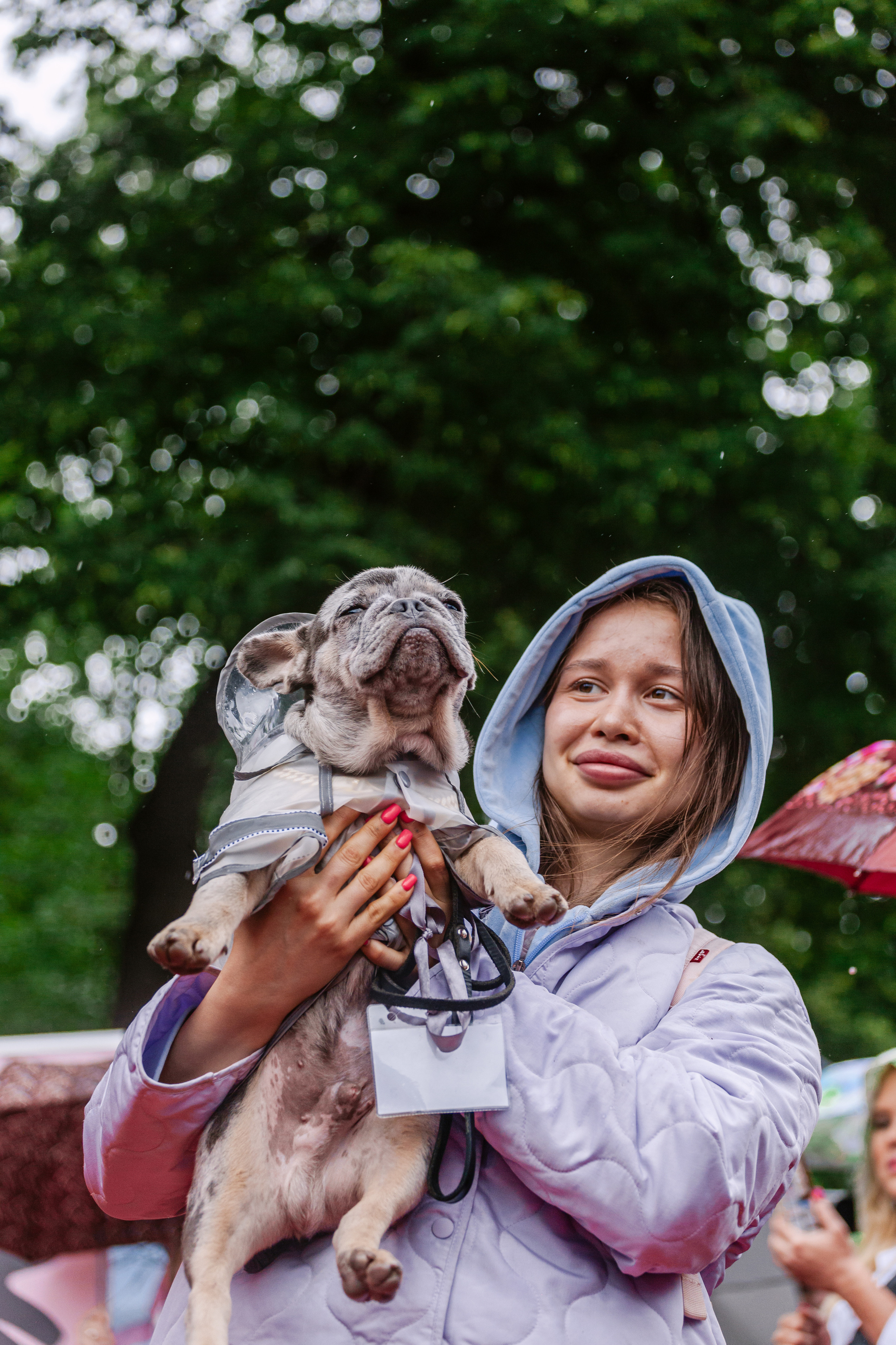 Парад французских бульдогов 15.07.2023. Фотограф-анималист Татьяна Степанова