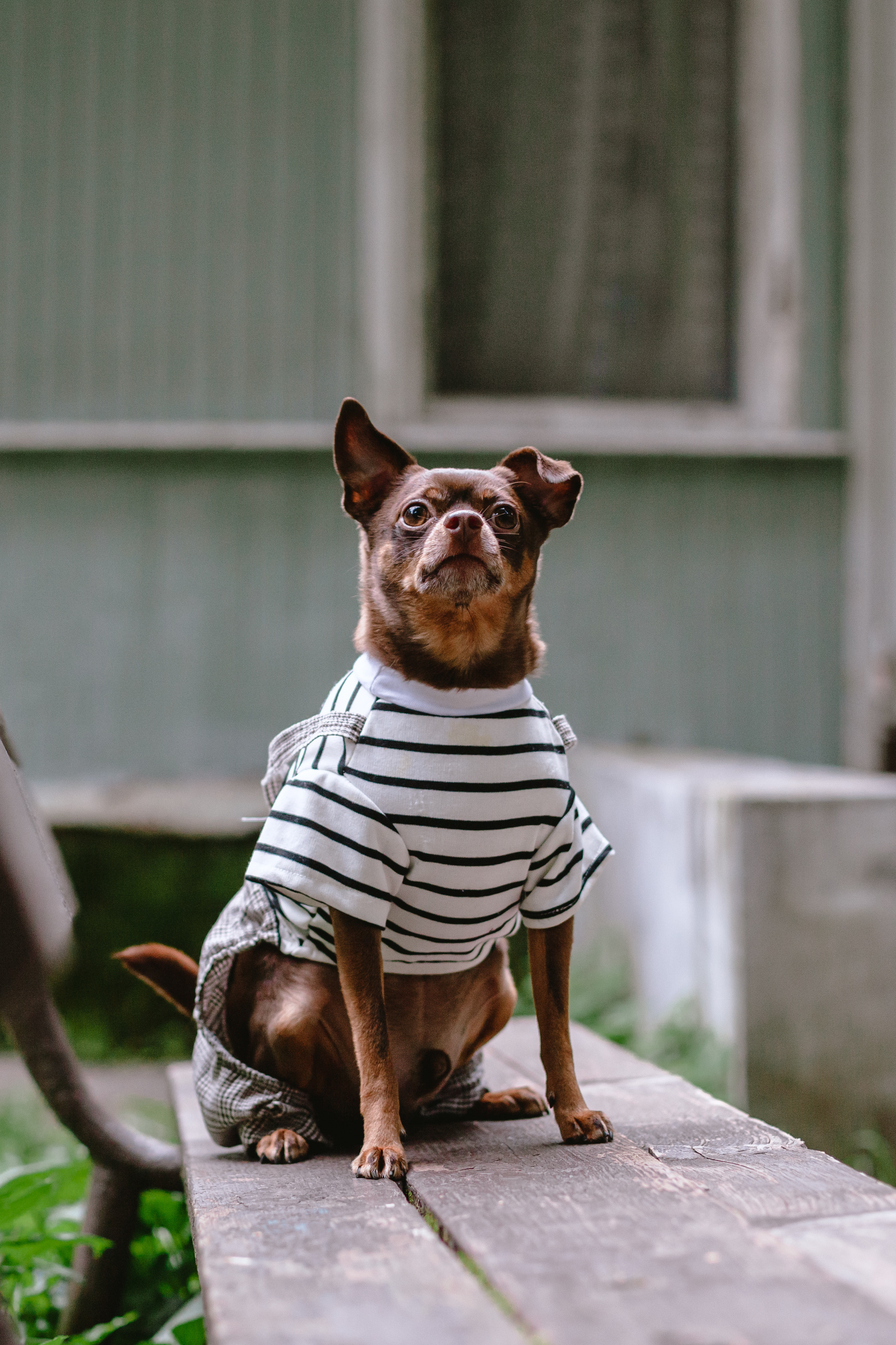 Юля и Леонид. Фотограф-анималист Татьяна Степанова
