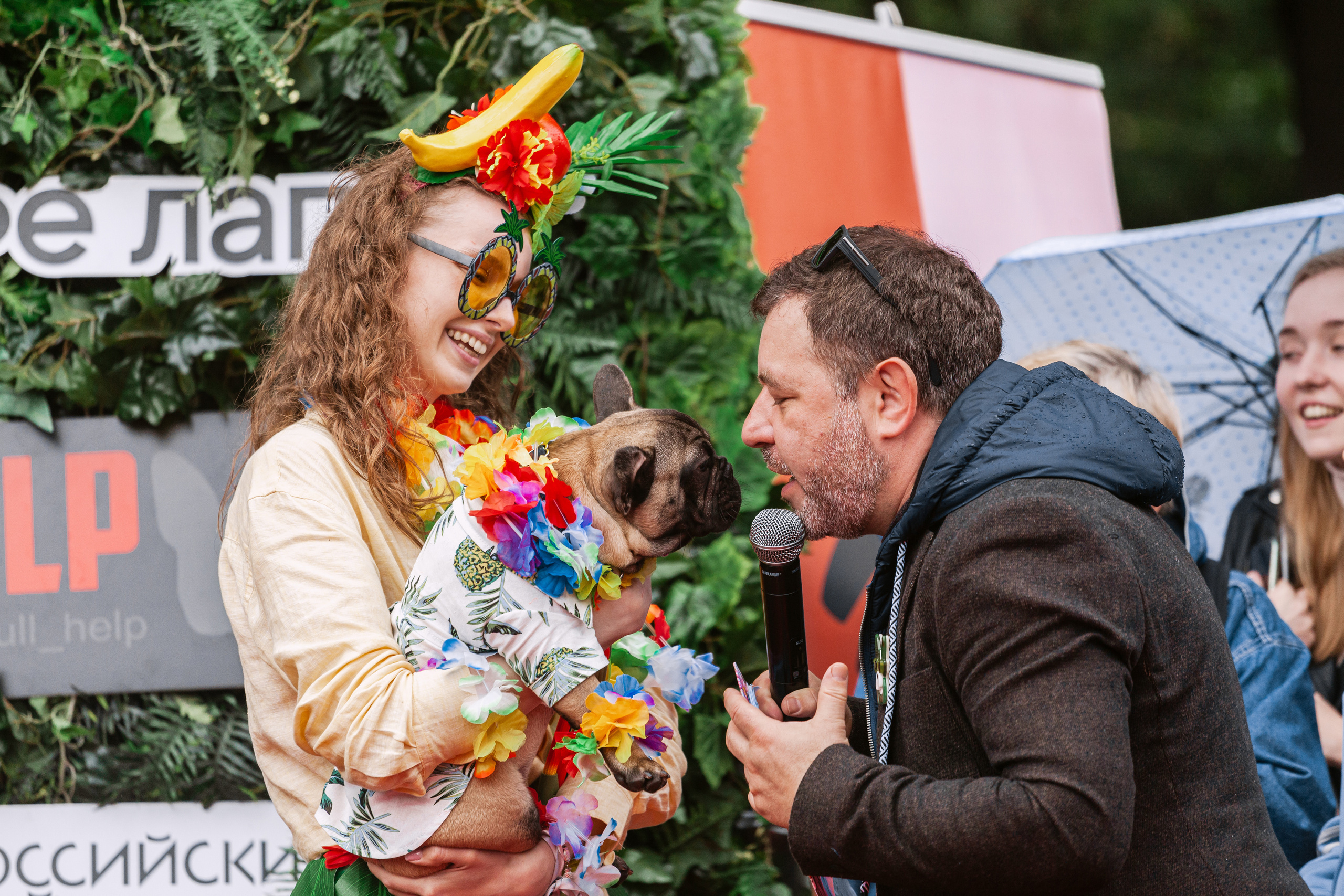 Парад французских бульдогов 15.07.2023. Фотограф-анималист Татьяна Степанова
