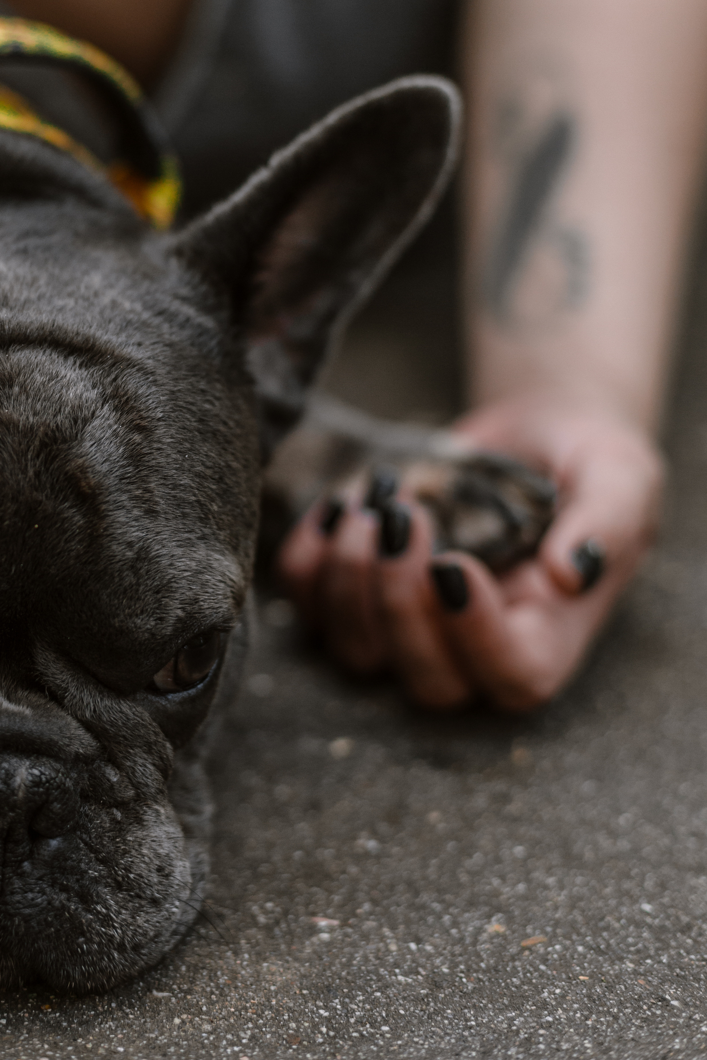 Фотопрогулка у МГУ. Фотограф-анималист Татьяна Степанова