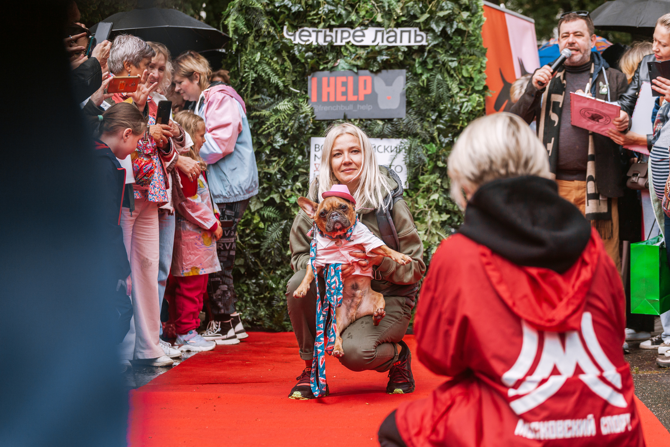 Парад французских бульдогов 15.07.2023. Фотограф-анималист Татьяна Степанова