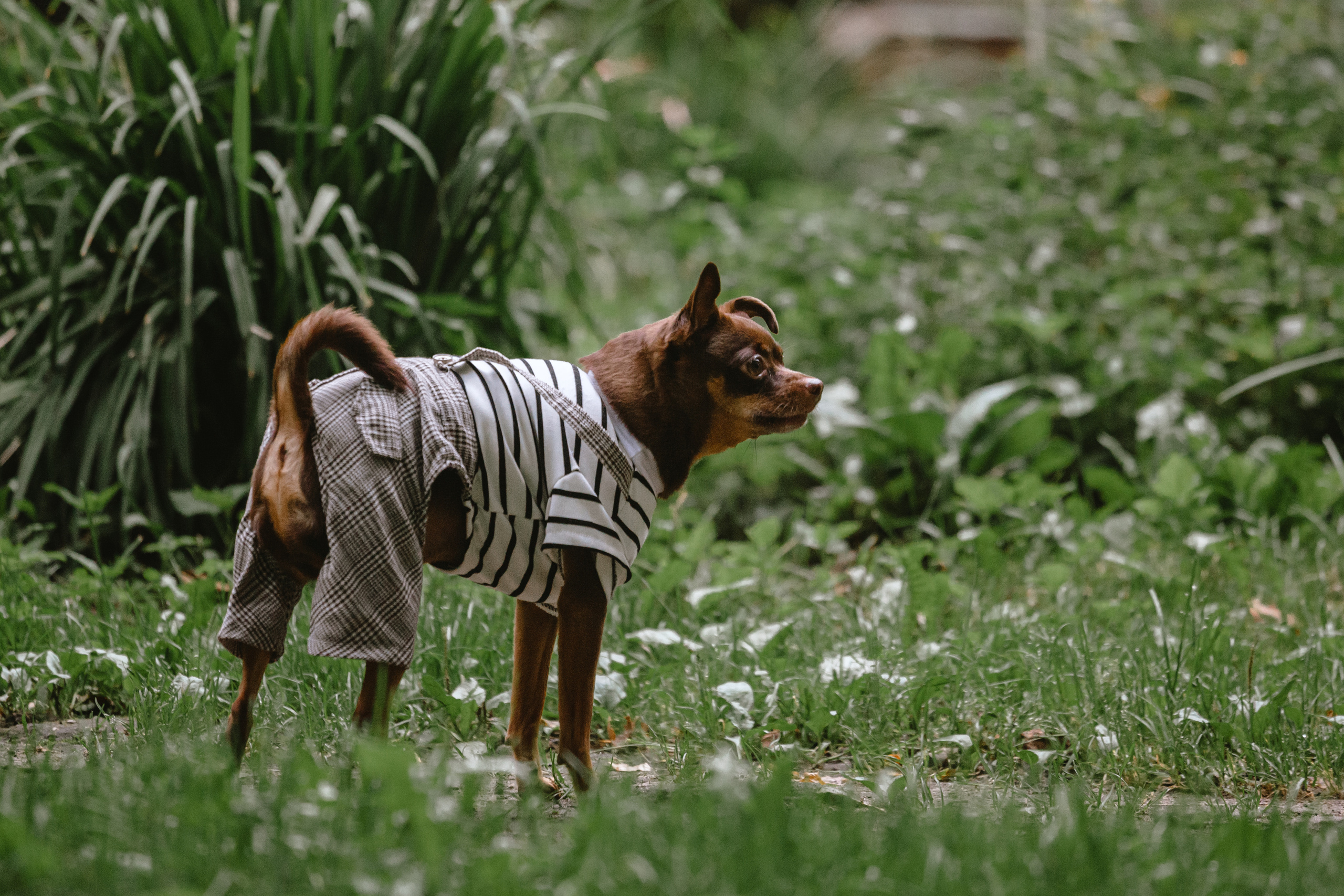Юля и Леонид. Фотограф-анималист Татьяна Степанова