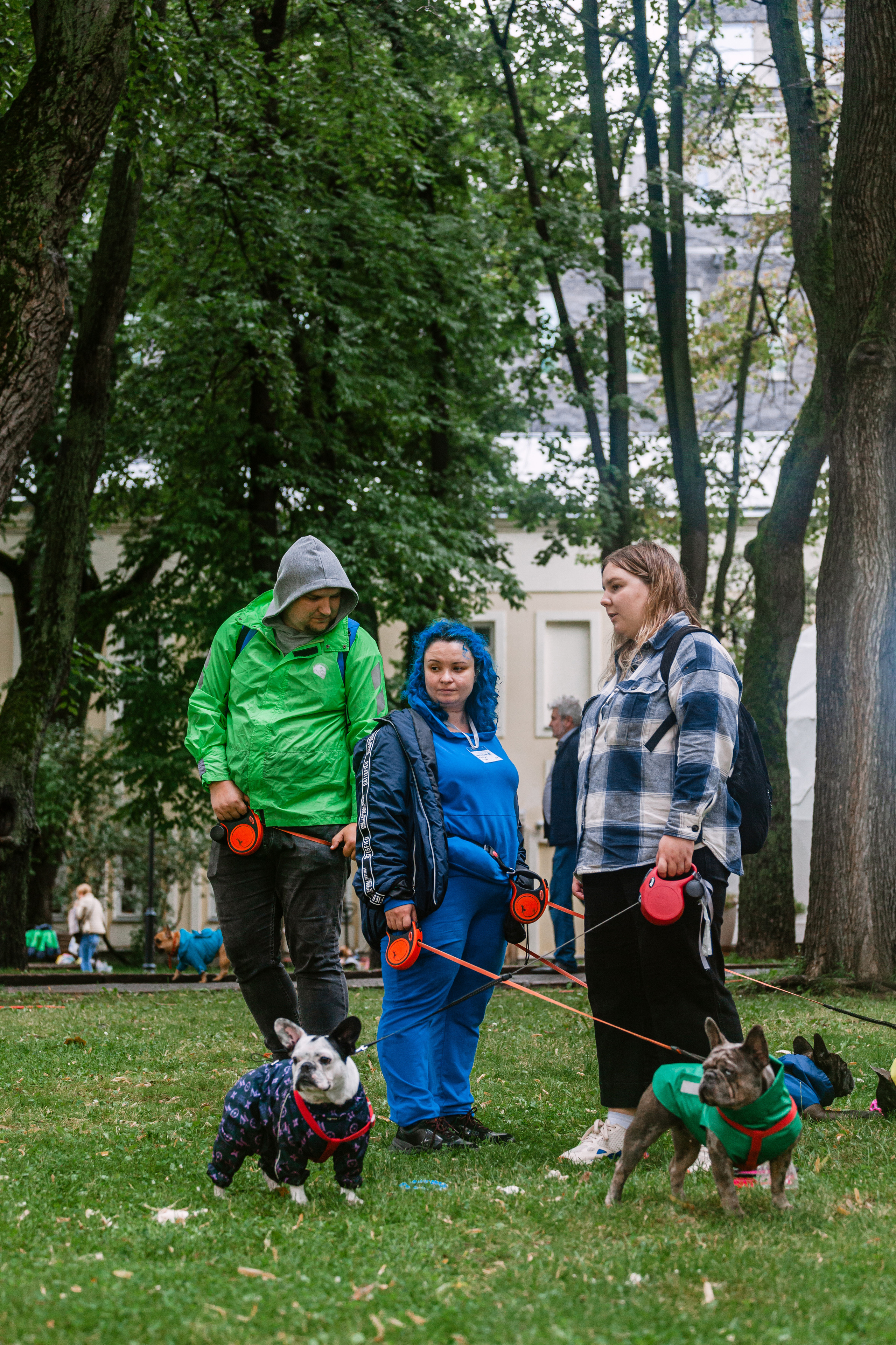 Парад французских бульдогов 15.07.2023. Фотограф-анималист Татьяна Степанова