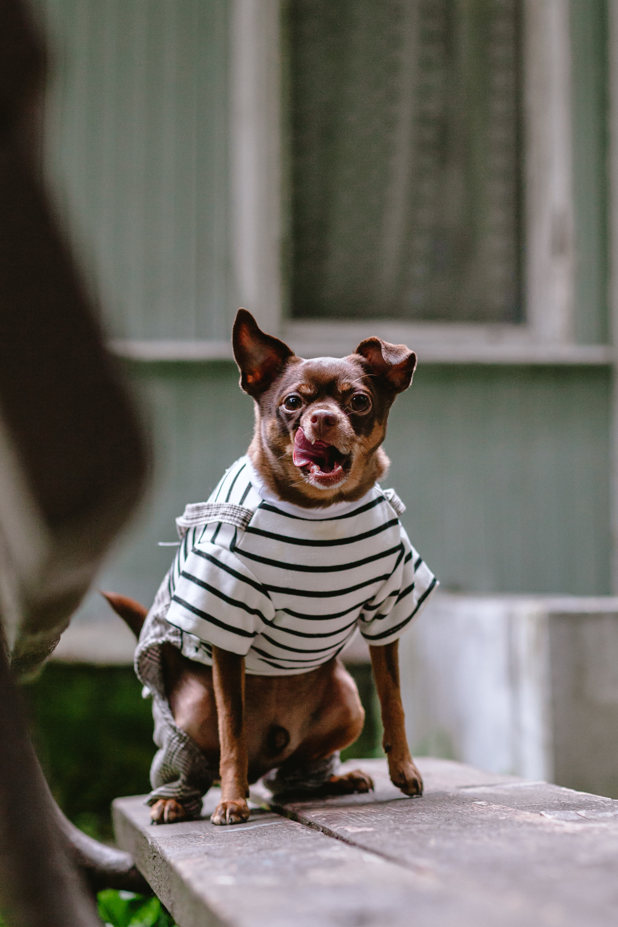 Юля и Леонид. Фотограф-анималист Татьяна Степанова