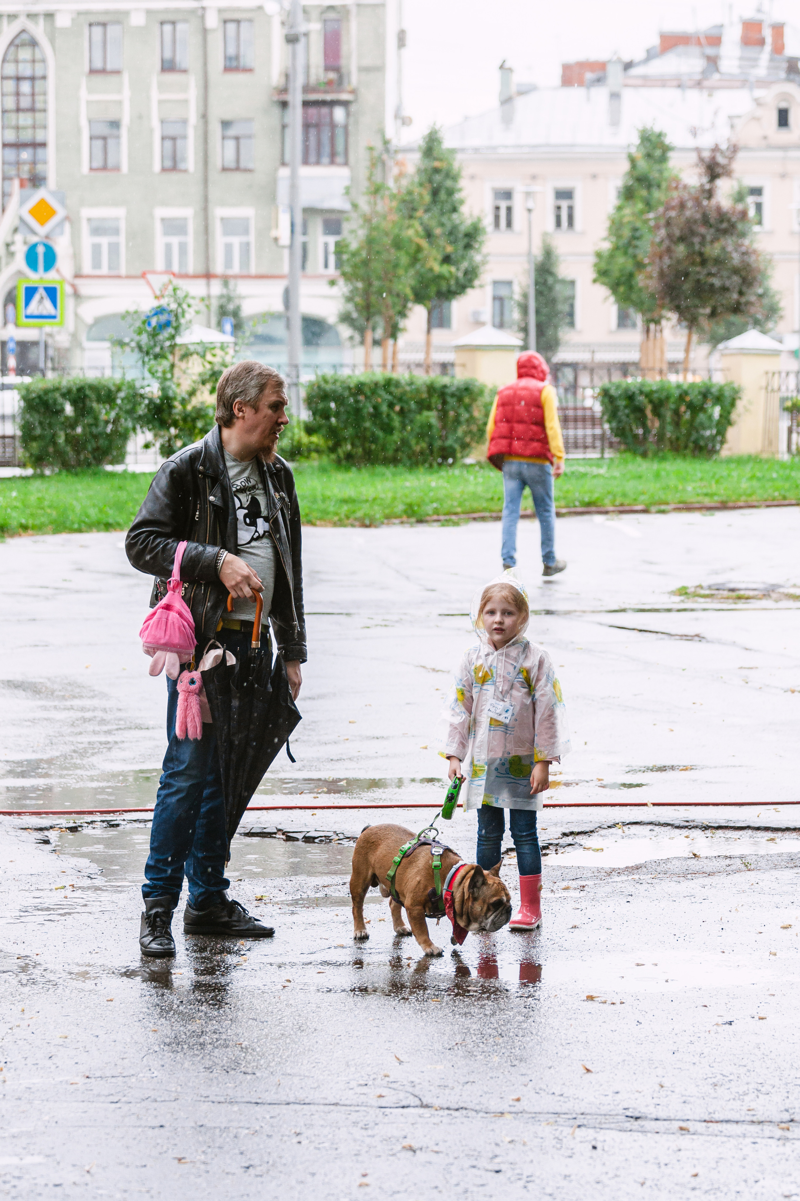 Парад французских бульдогов 15.07.2023. Фотограф-анималист Татьяна Степанова