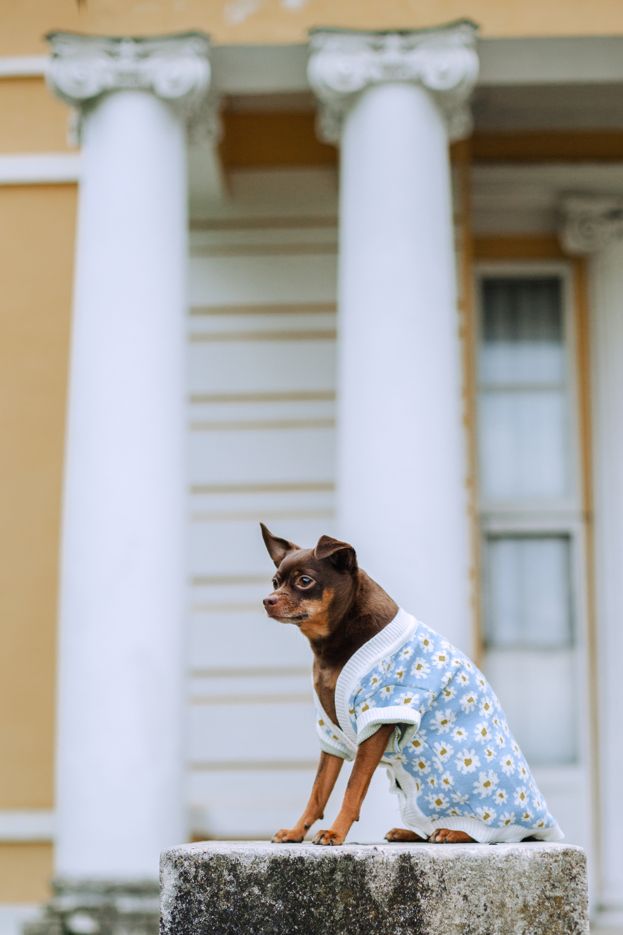 Юля и Леонид. Фотограф-анималист Татьяна Степанова
