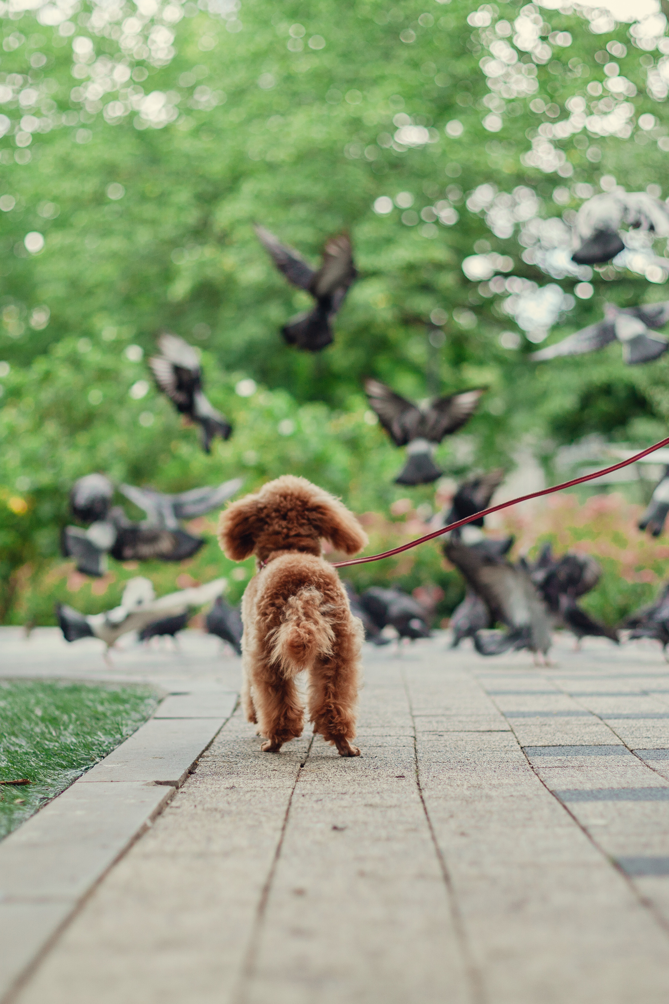 Оля и Ася. Фотограф-анималист Татьяна Степанова