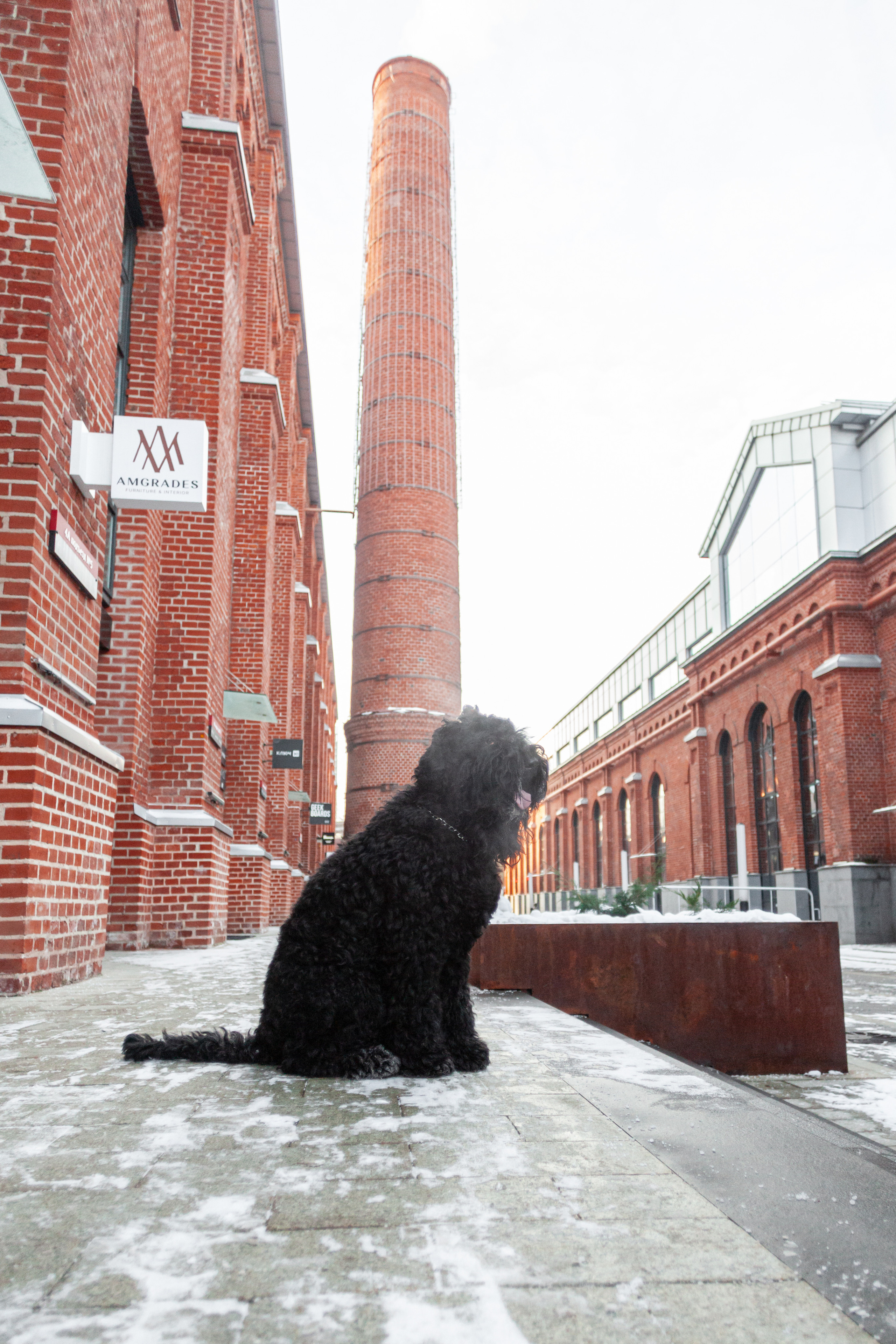 Фотопрогулка завод Арма. Фотограф-анималист Татьяна Степанова