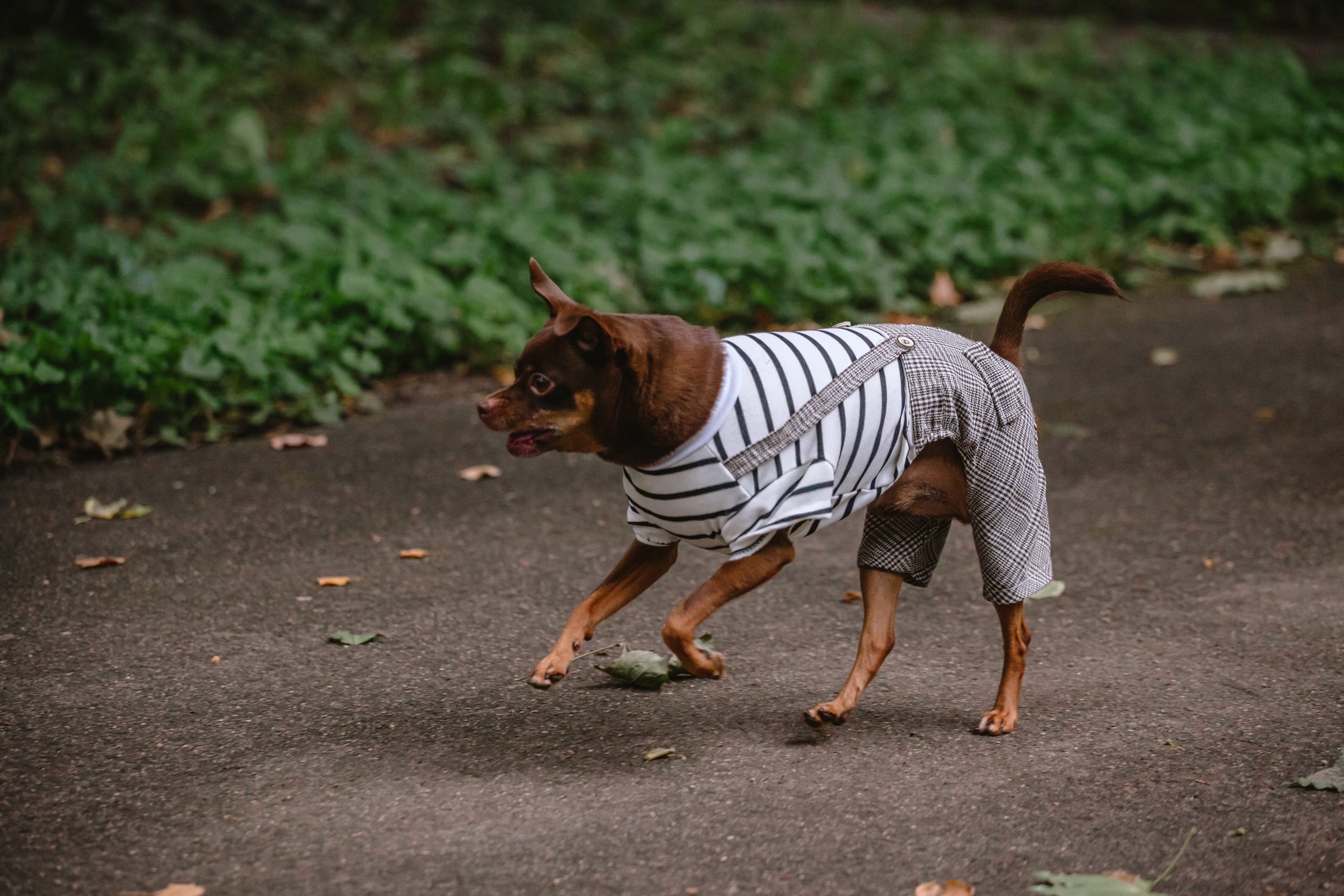 Юля и Леонид. Фотограф-анималист Татьяна Степанова