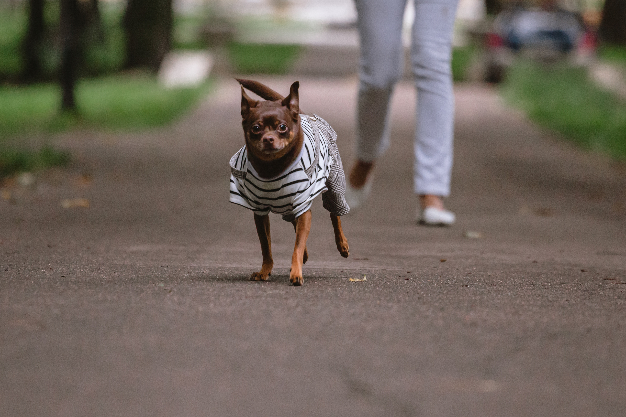 Юля и Леонид. Фотограф-анималист Татьяна Степанова