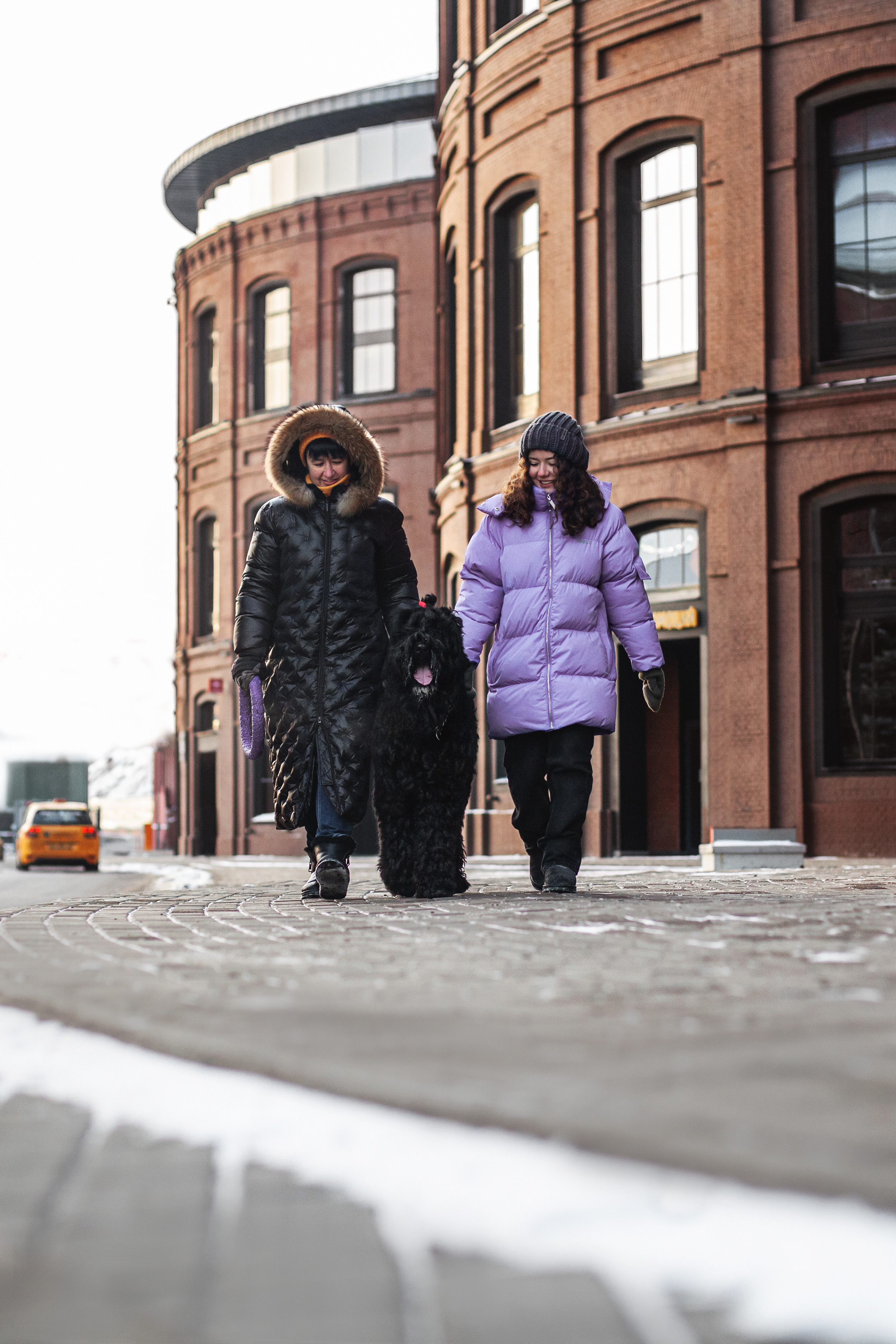 Фотопрогулка завод Арма. Фотограф-анималист Татьяна Степанова