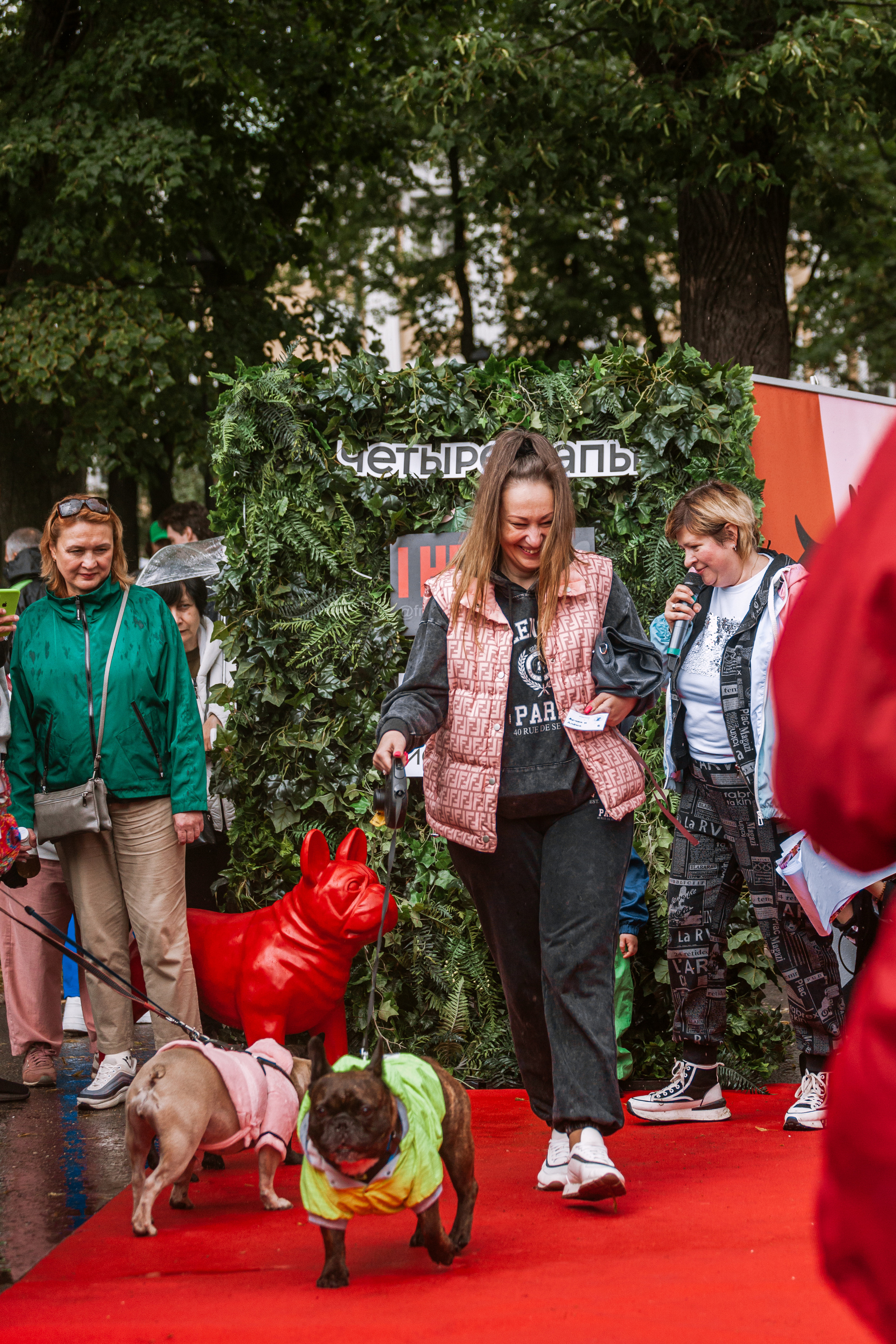 Парад французских бульдогов 15.07.2023. Фотограф-анималист Татьяна Степанова