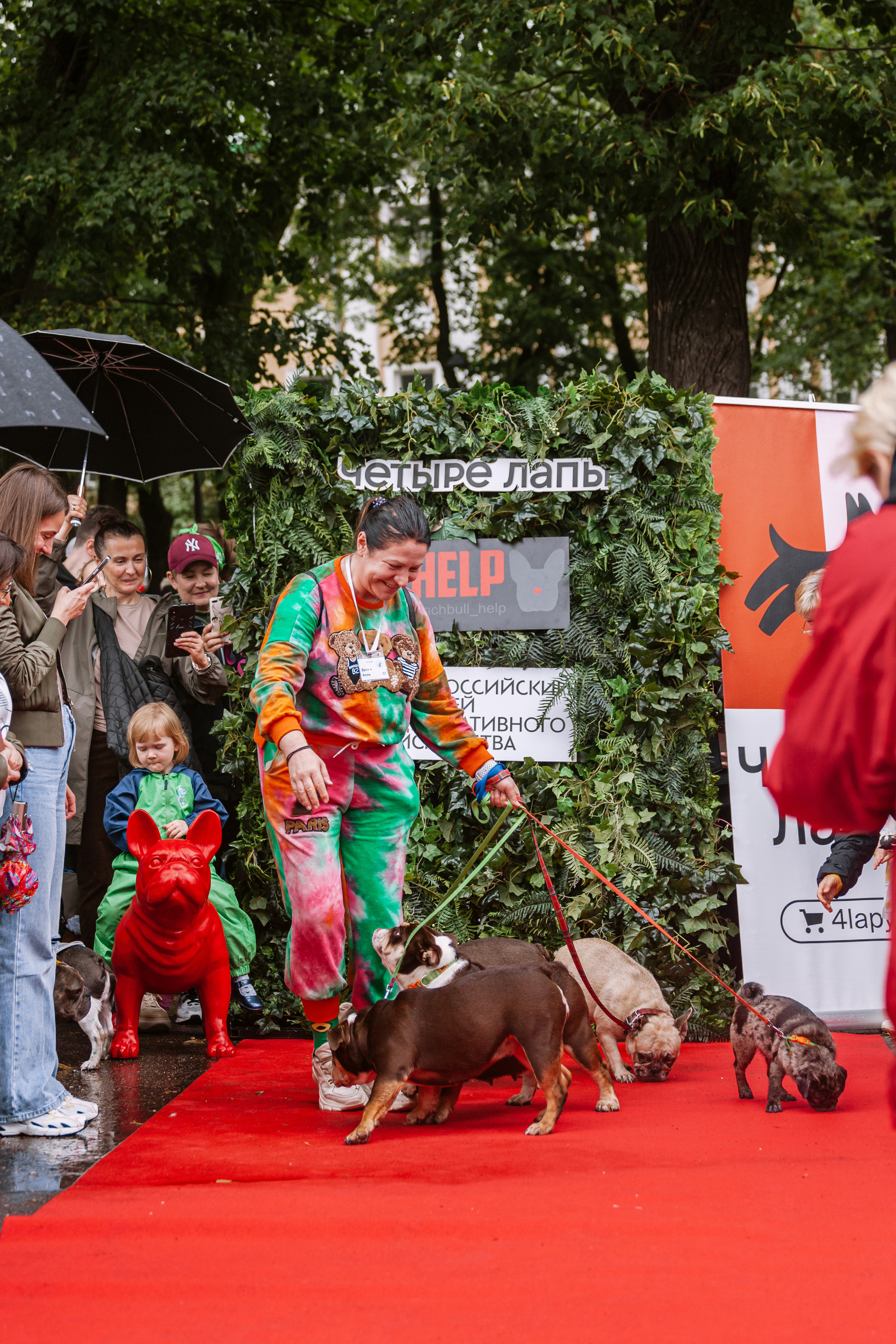 Парад французских бульдогов 15.07.2023. Фотограф-анималист Татьяна Степанова