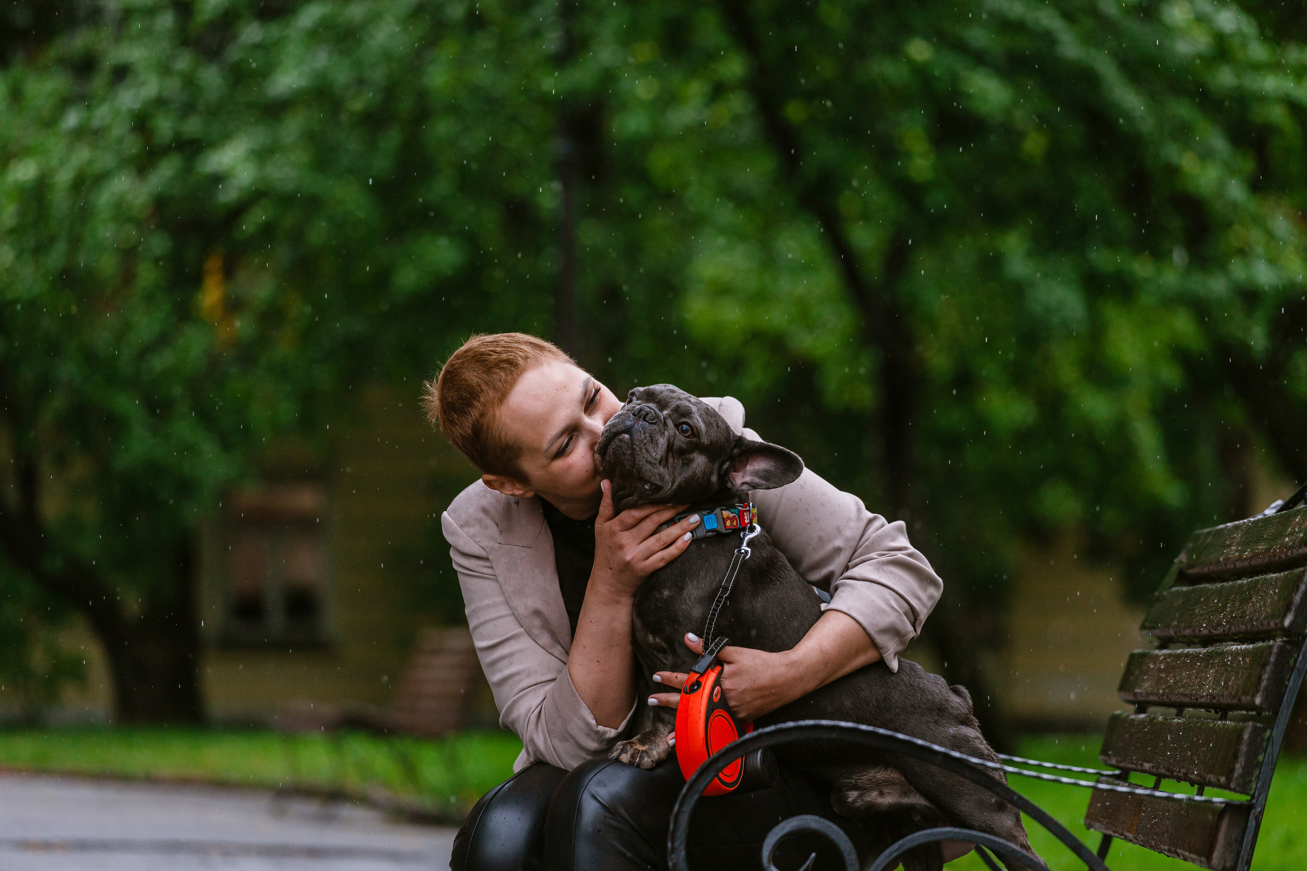 Парад французских бульдогов 15.07.2023. Фотограф-анималист Татьяна Степанова