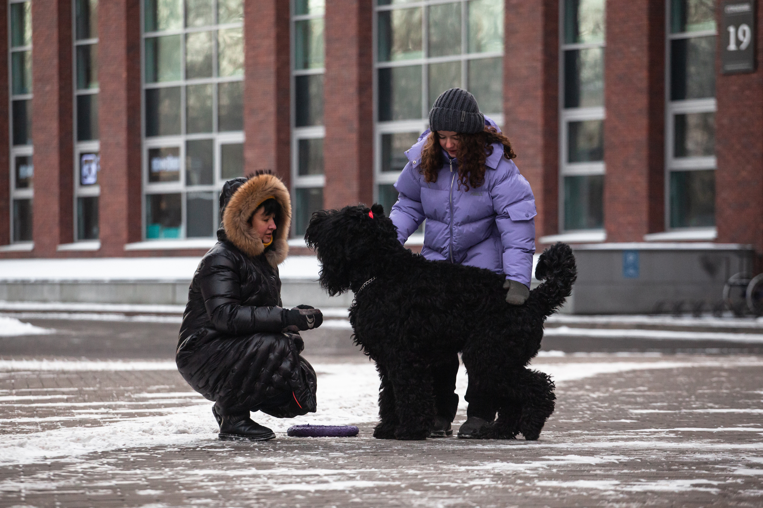 Фотопрогулка завод Арма. Фотограф-анималист Татьяна Степанова