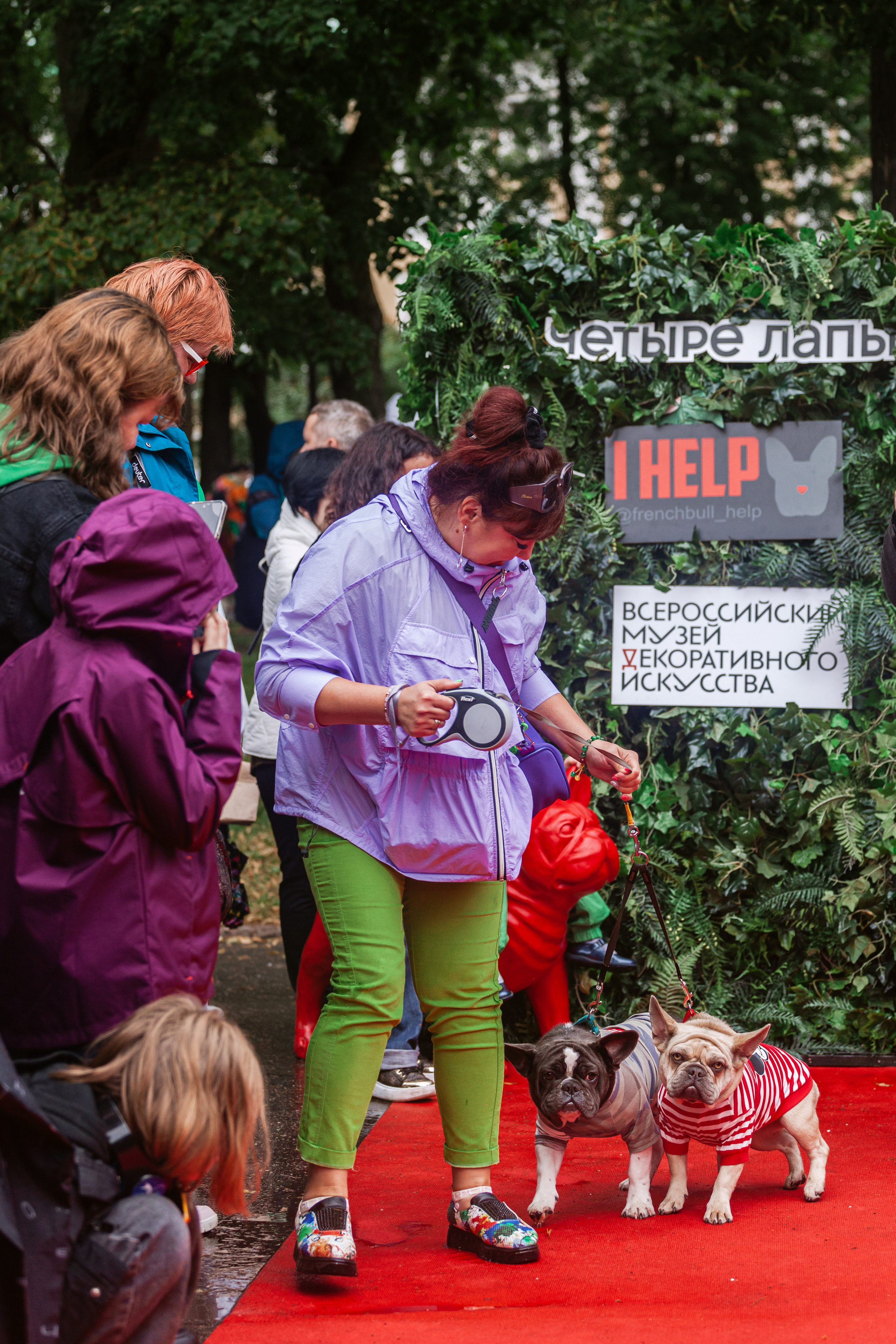 Парад французских бульдогов 15.07.2023. Фотограф-анималист Татьяна Степанова