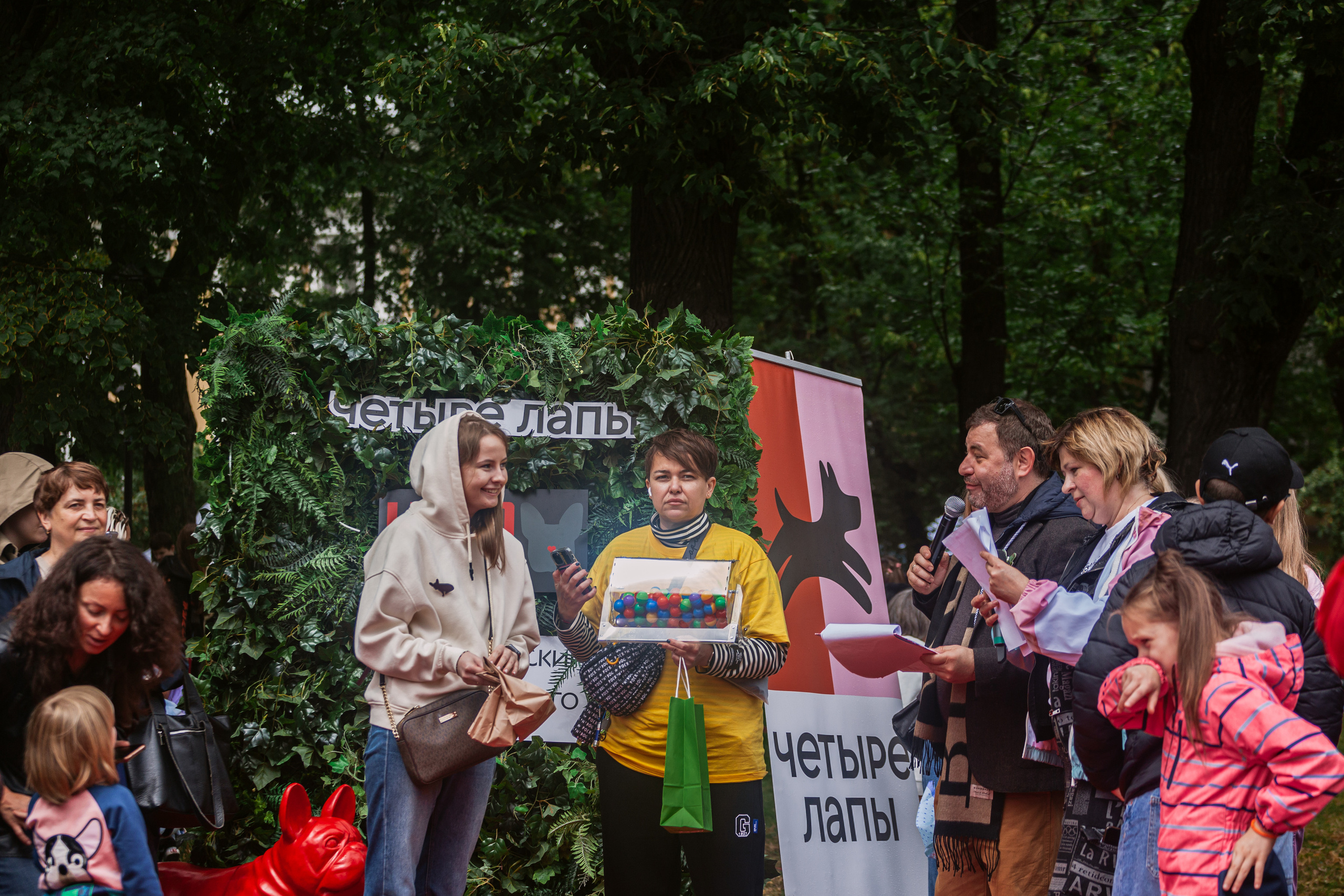 Парад французских бульдогов 15.07.2023. Фотограф-анималист Татьяна Степанова