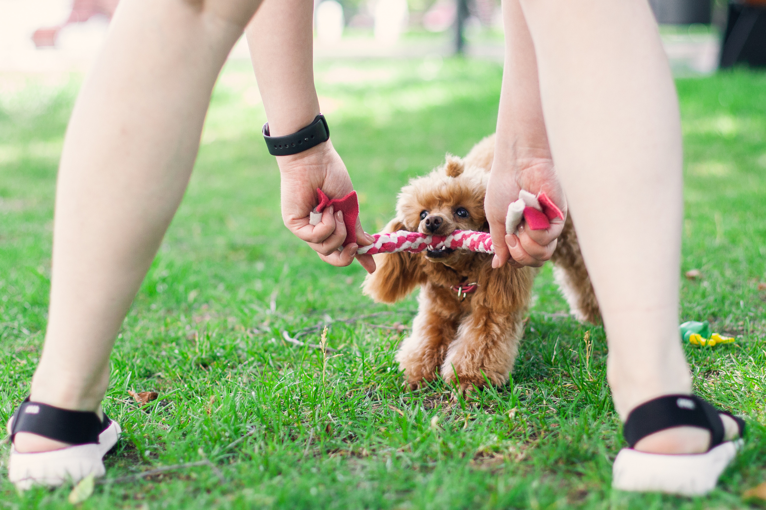 Оля и Ася. Фотограф-анималист Татьяна Степанова