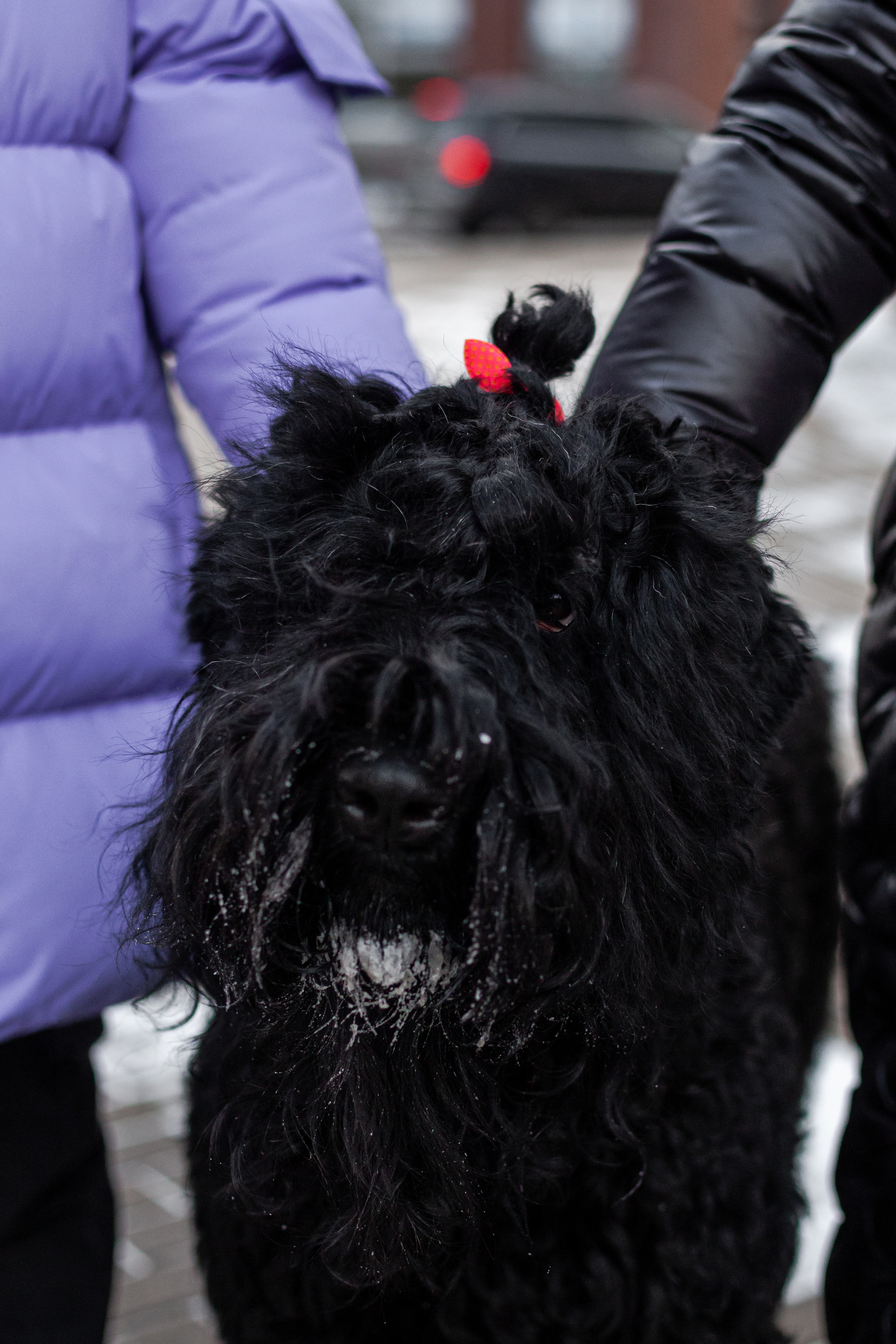 Фотопрогулка завод Арма. Фотограф-анималист Татьяна Степанова