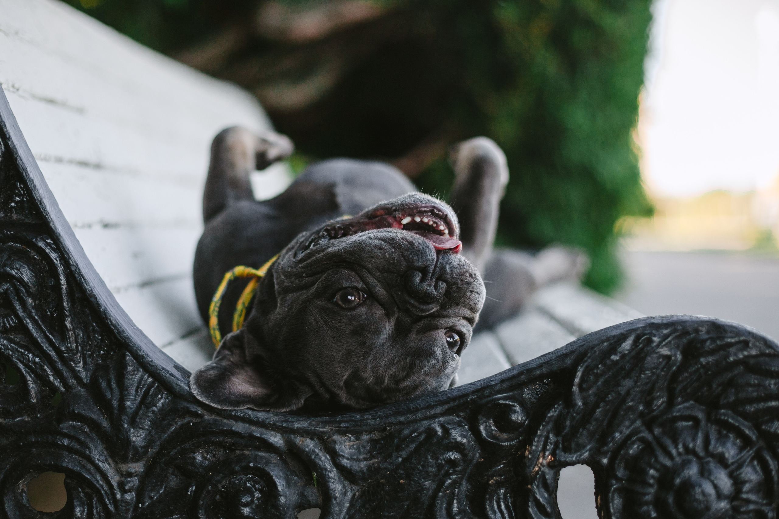 Фотопрогулка у МГУ. Фотограф-анималист Татьяна Степанова