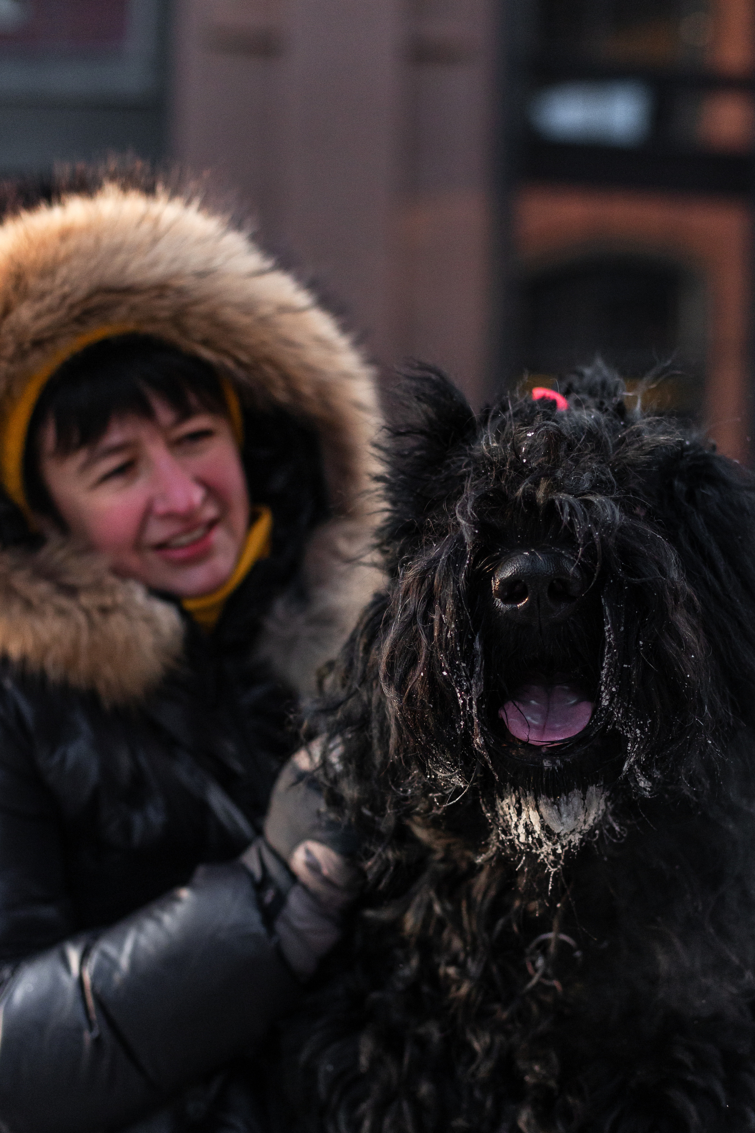 Фотопрогулка завод Арма. Фотограф-анималист Татьяна Степанова