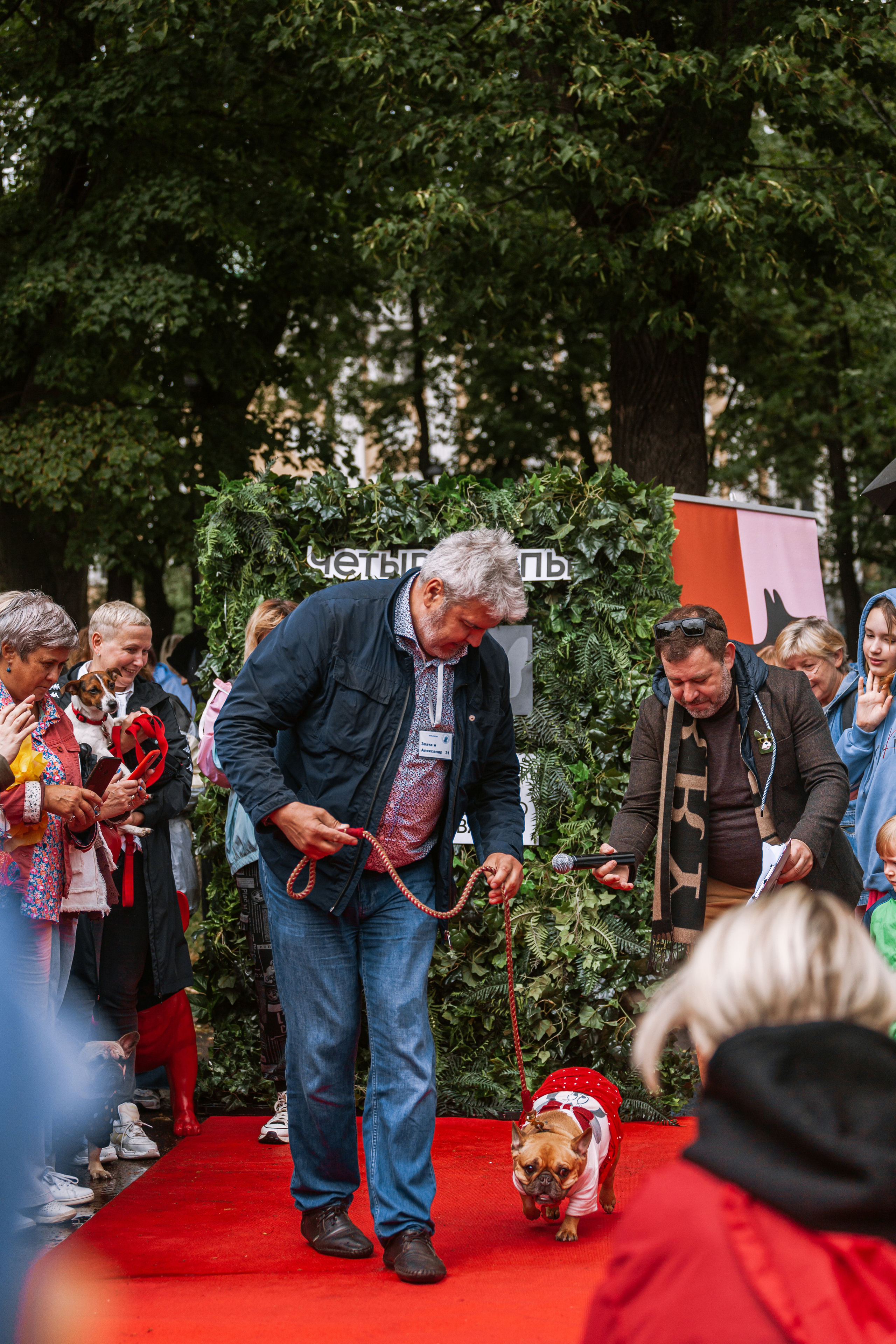 Парад французских бульдогов 15.07.2023. Фотограф-анималист Татьяна Степанова
