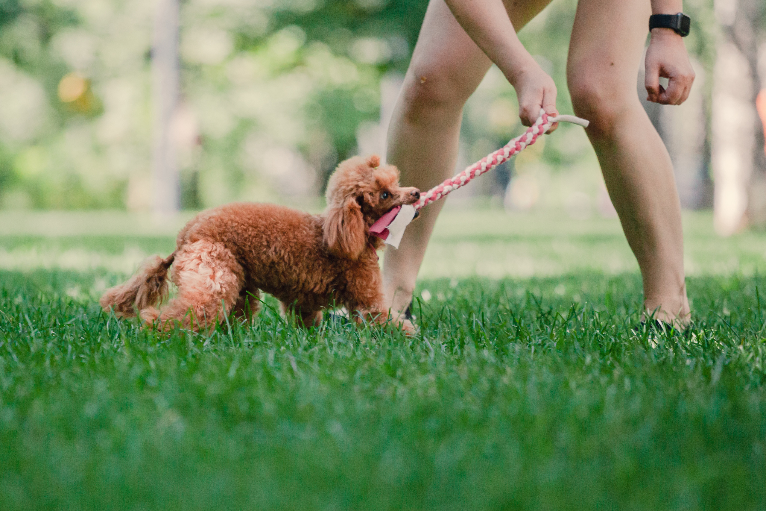 Оля и Ася. Фотограф-анималист Татьяна Степанова