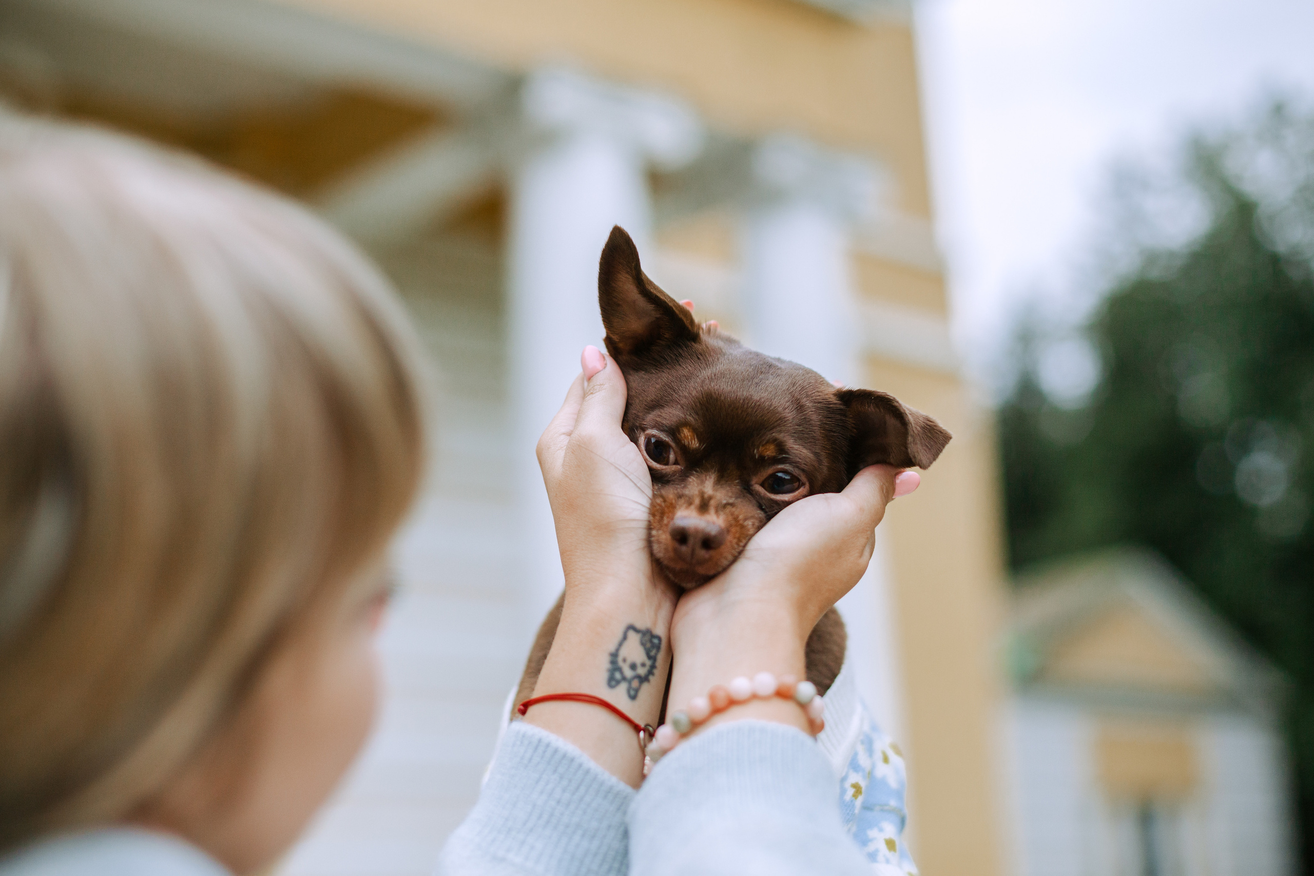 Юля и Леонид. Фотограф-анималист Татьяна Степанова