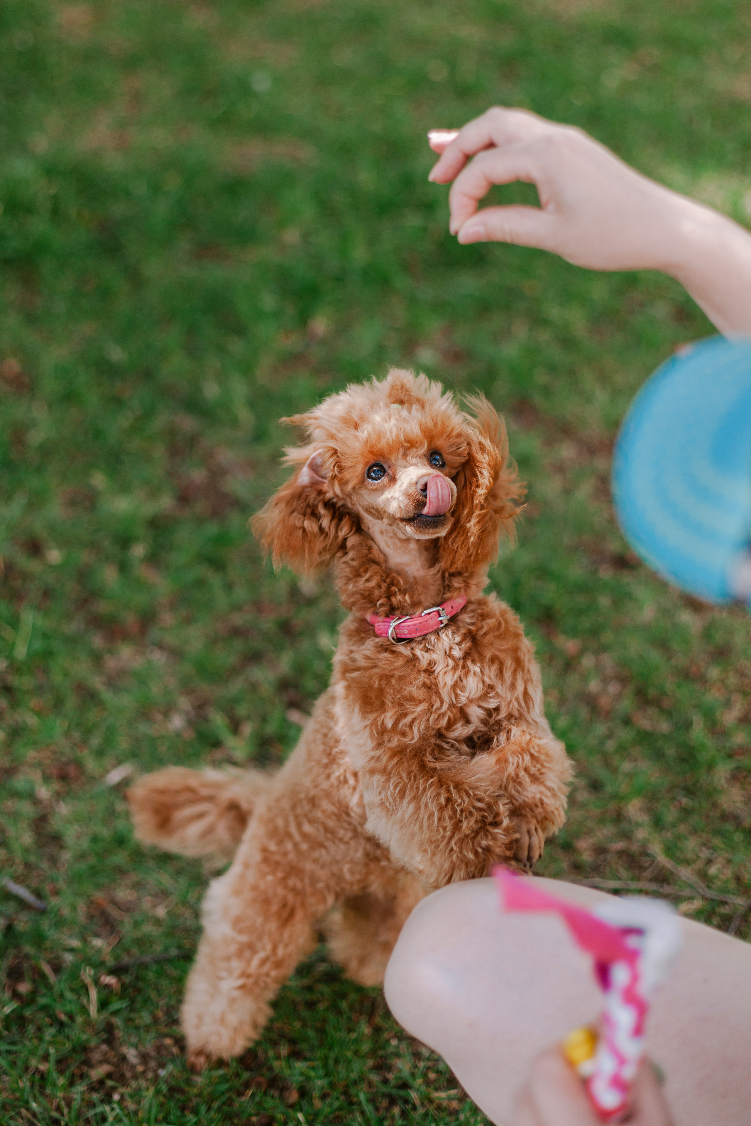Оля и Ася. Фотограф-анималист Татьяна Степанова